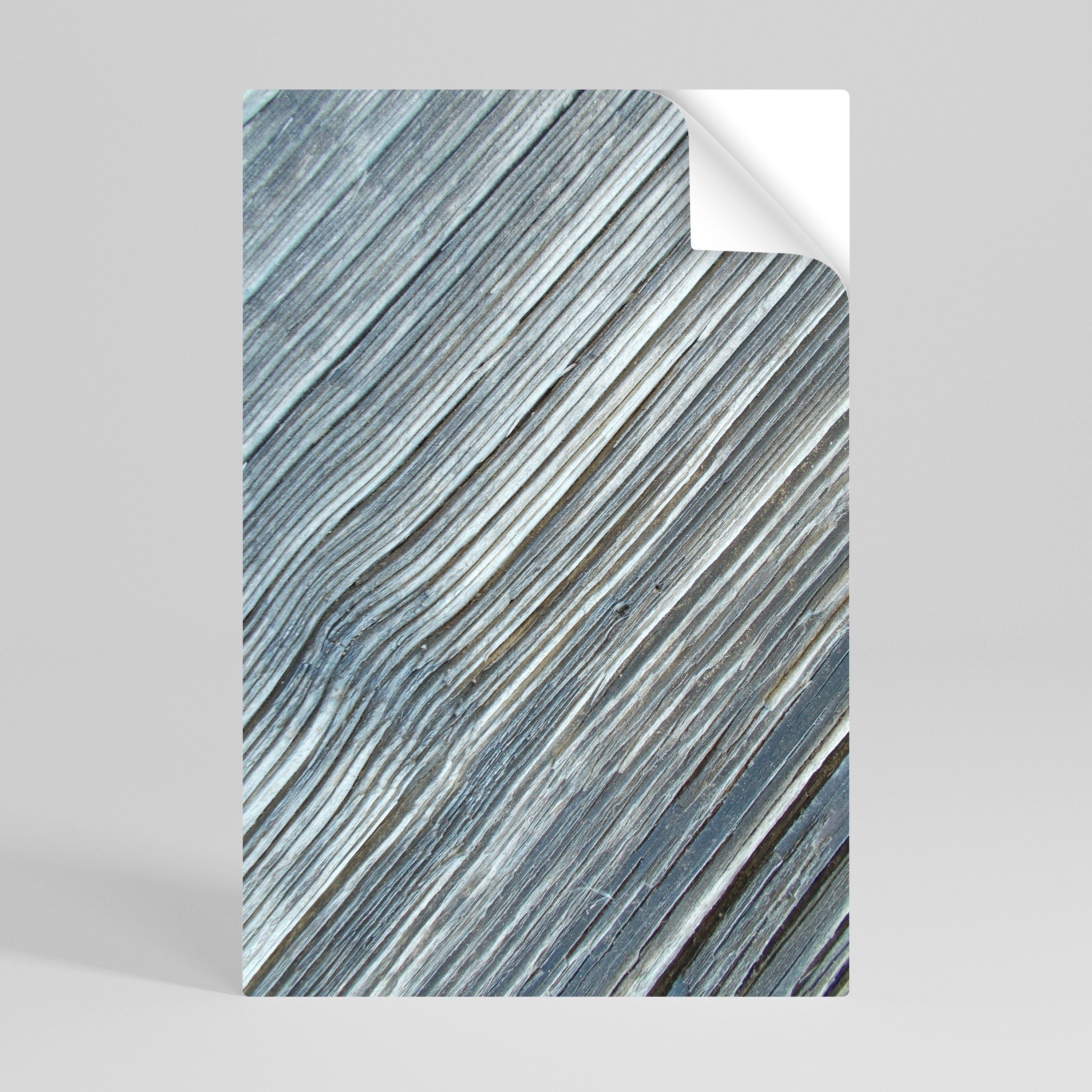 Affiche verticale autocollante RELIQUE DU RUBAN DE LA NATURE