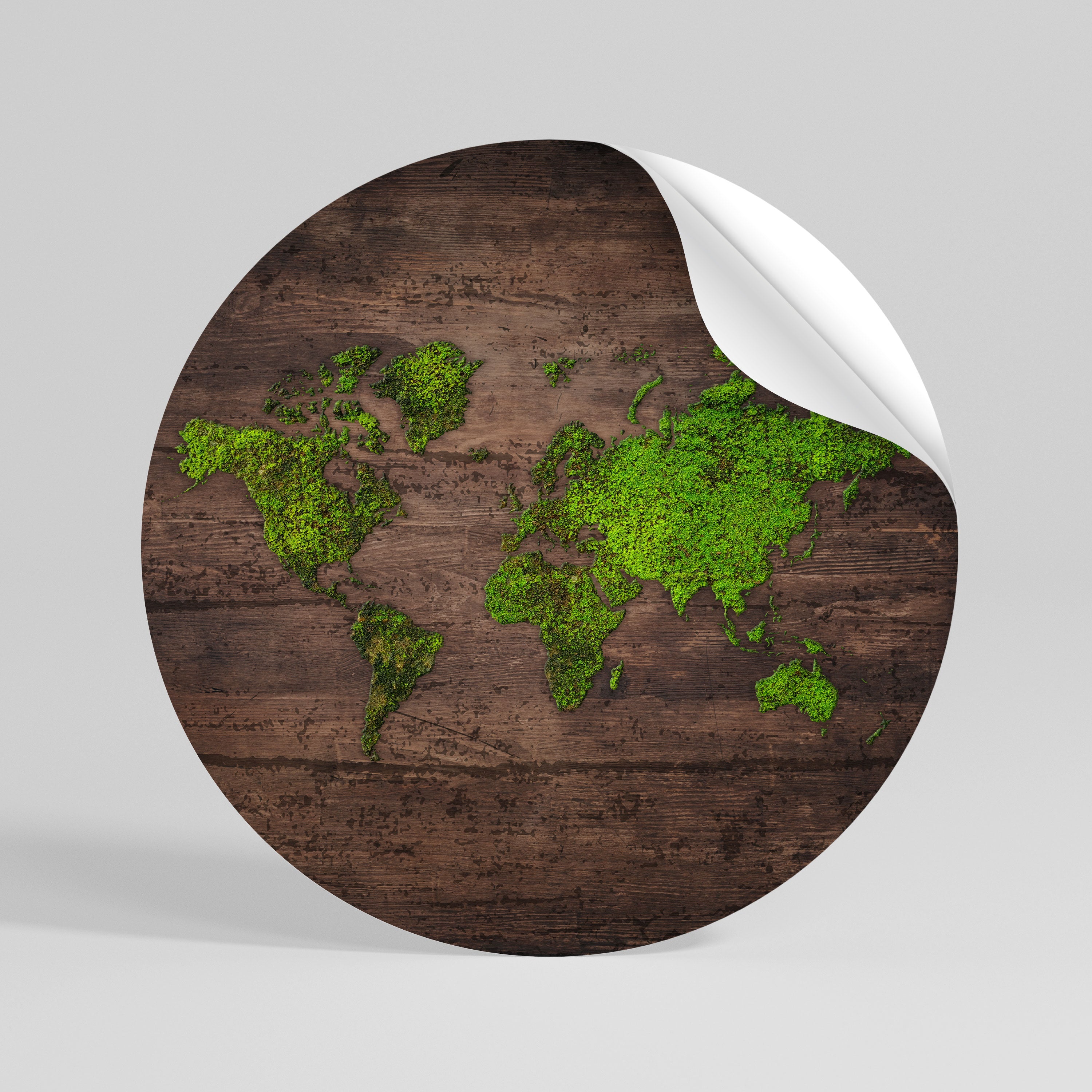 GREEN EARTH VISION Peel and Stick Round Sticker