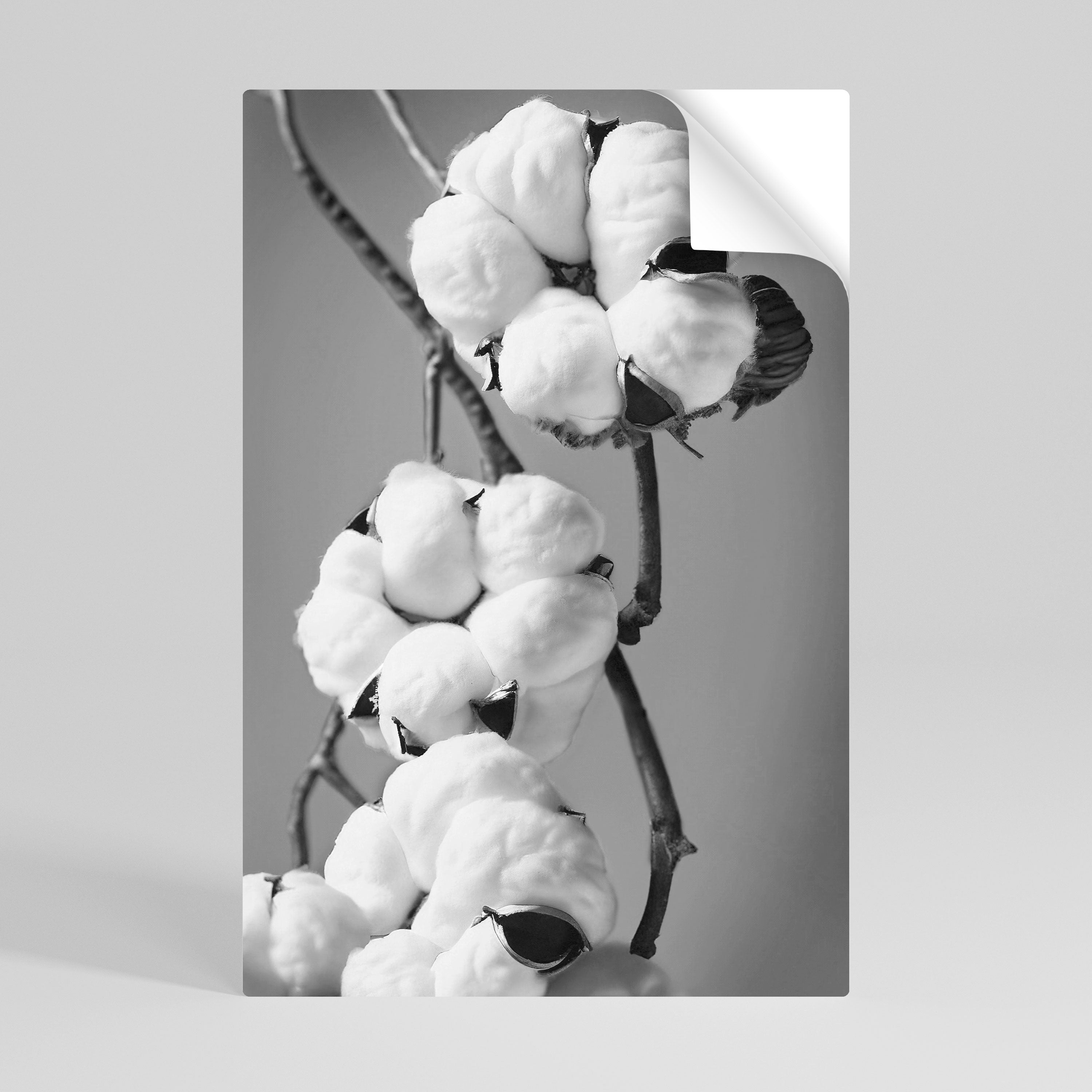 Affiche verticale autocollante COTTON DREAMSCAPE