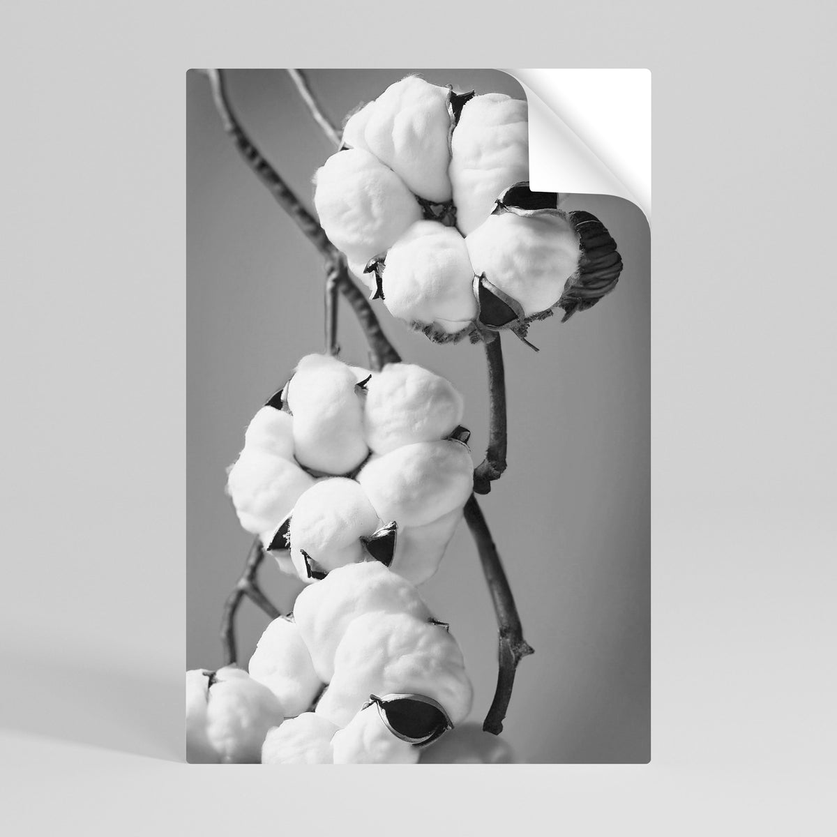 COTTON DREAMSCAPE Peel and Stick Vertical Poster