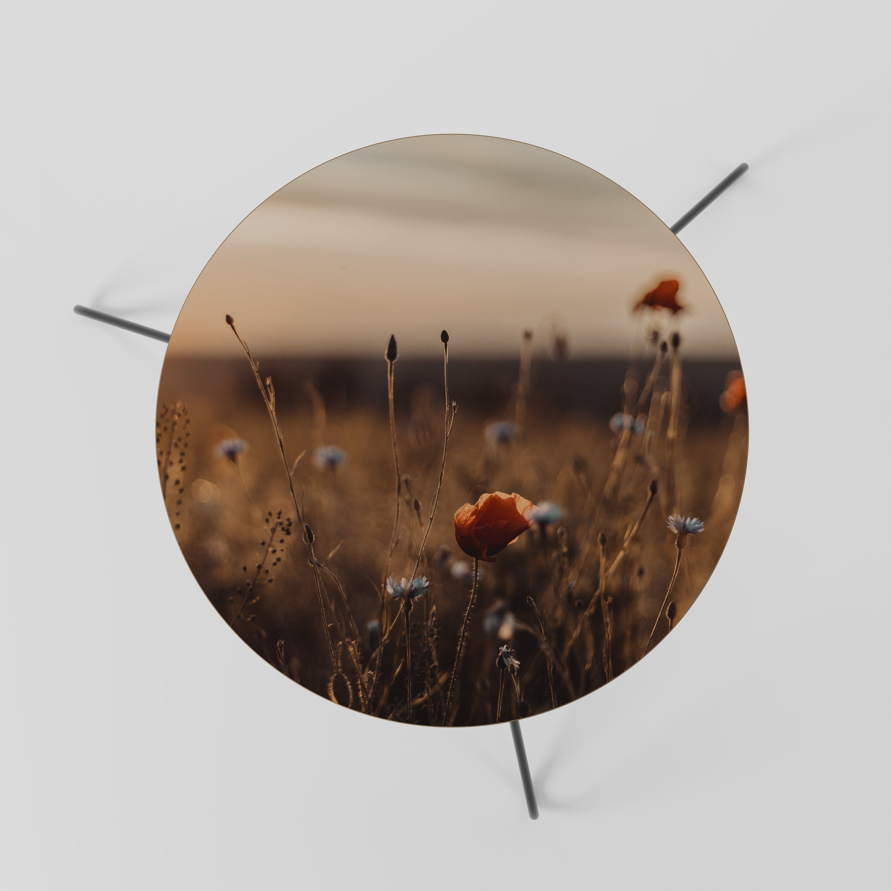 Table basse GLOWING MEADOWS AT DUSK 60