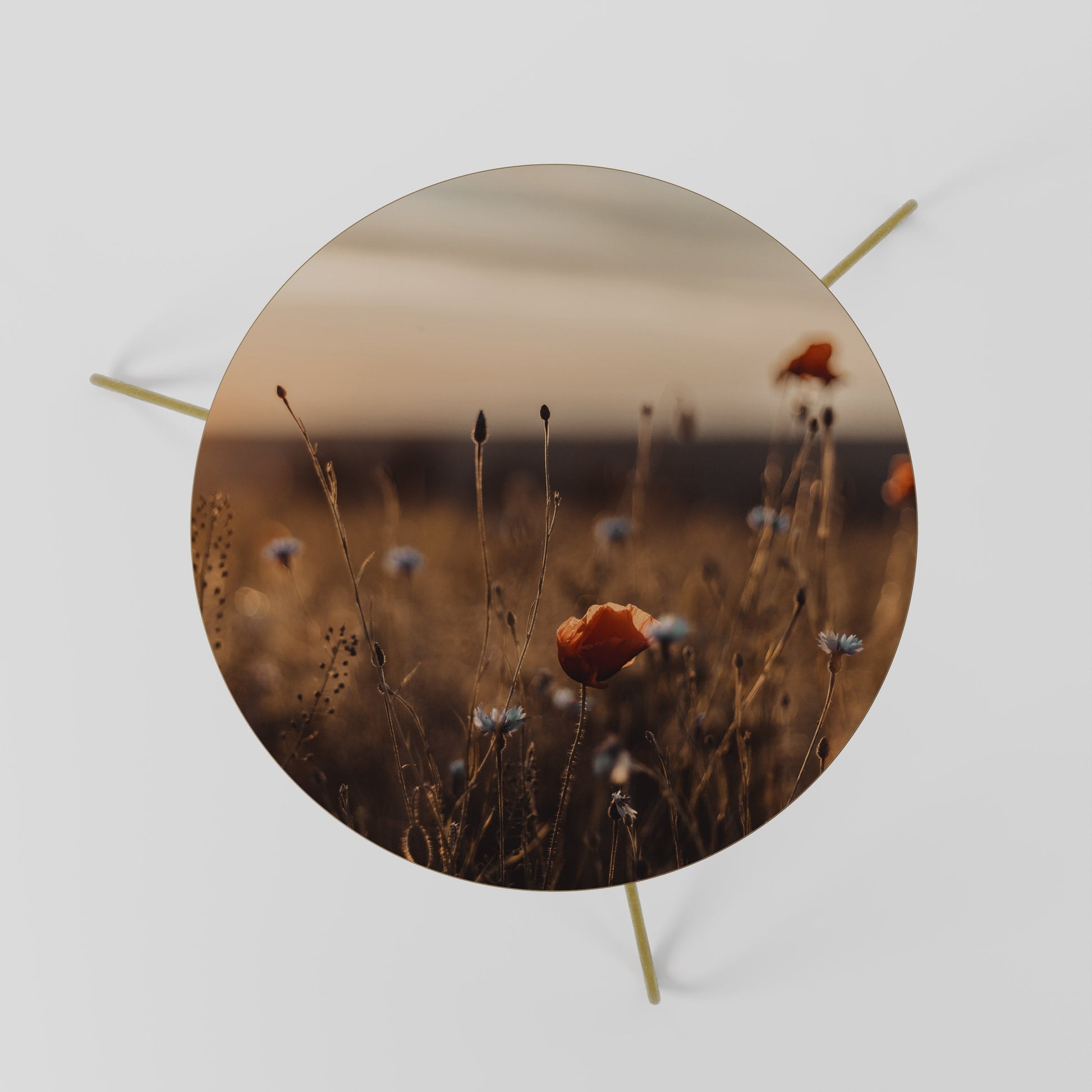 GLOWING MEADOWS AT DUSK Coffee Table 60