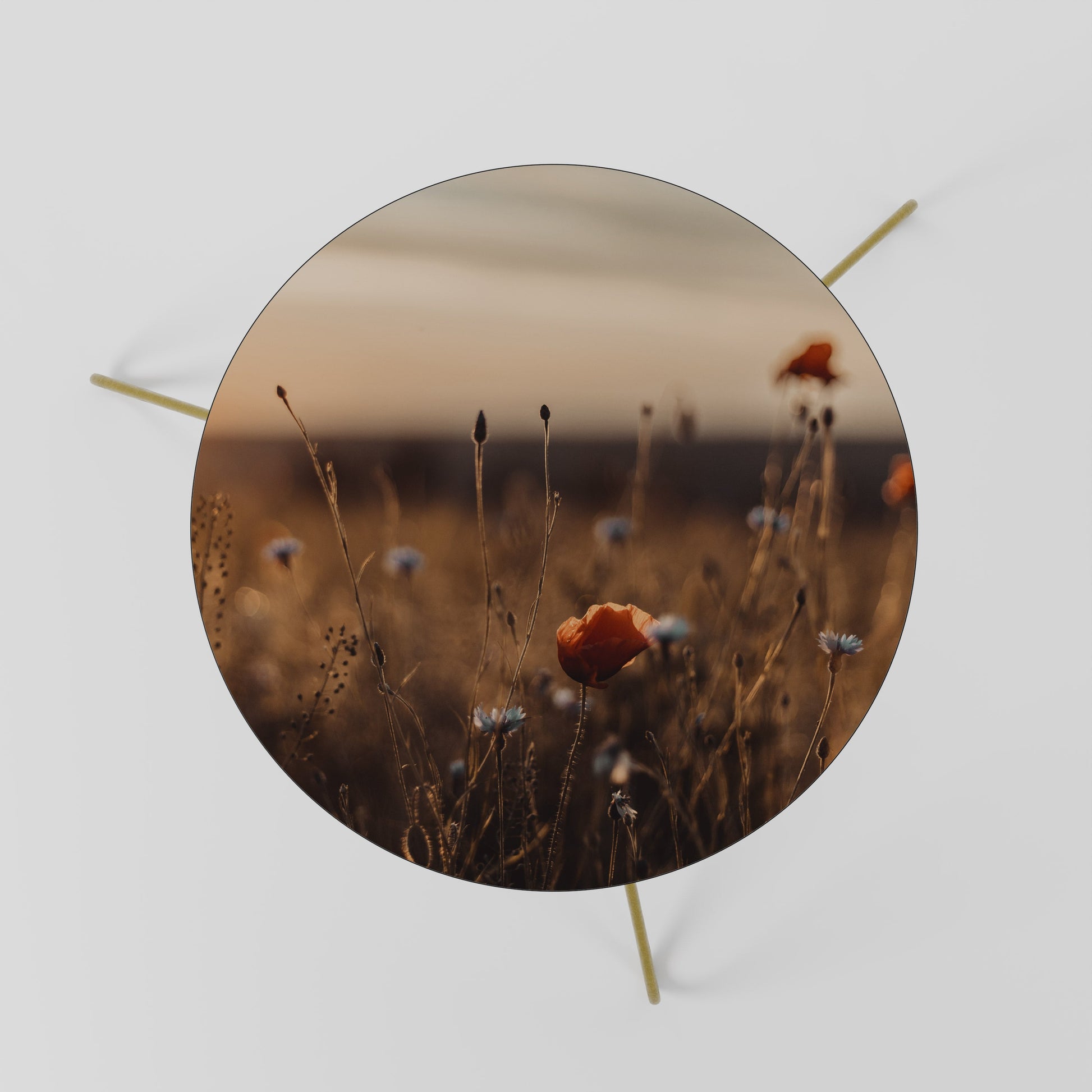 GLOWING MEADOWS AT DUSK Coffee Table 60