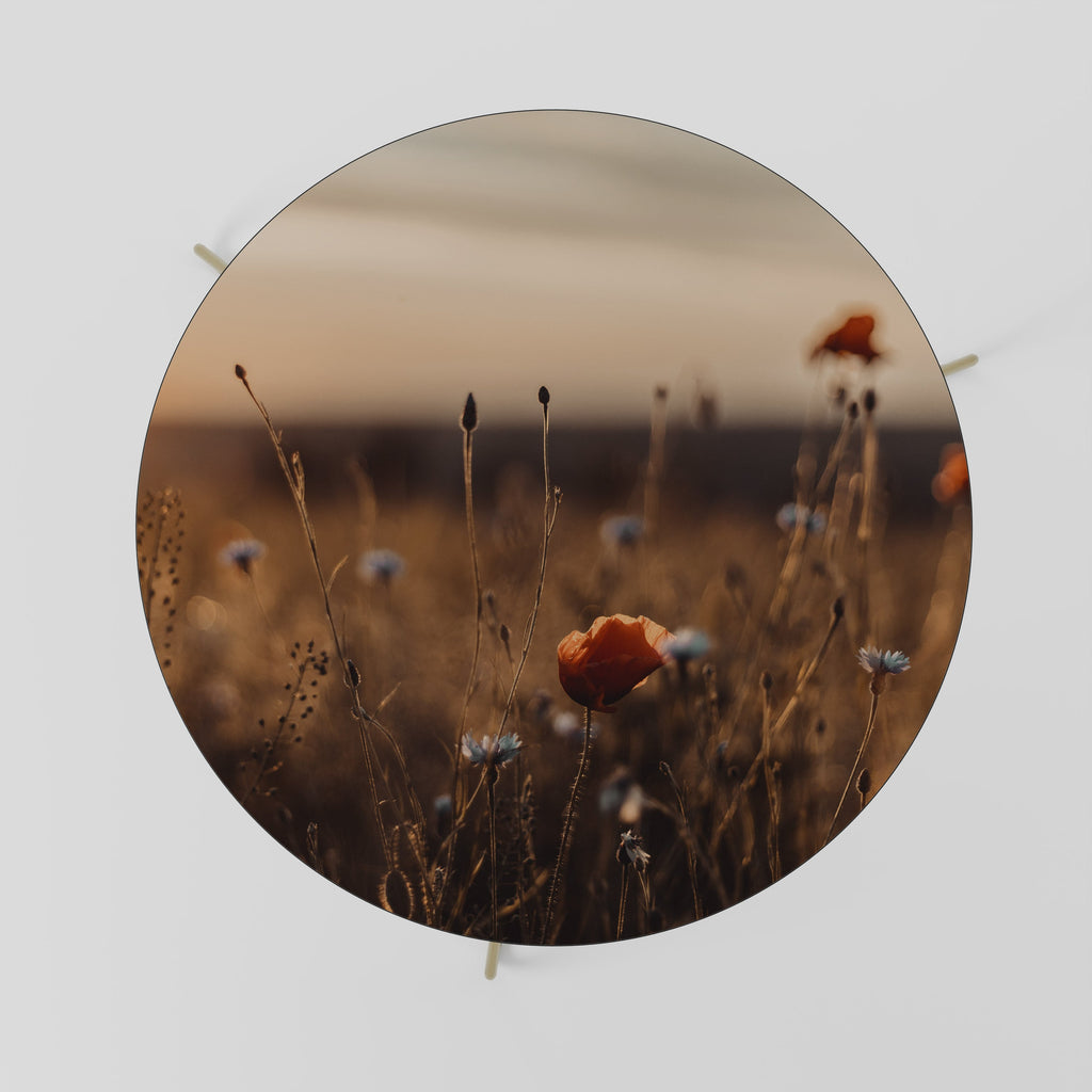 Table basse GLOWING MEADOWS AT DUSK 69