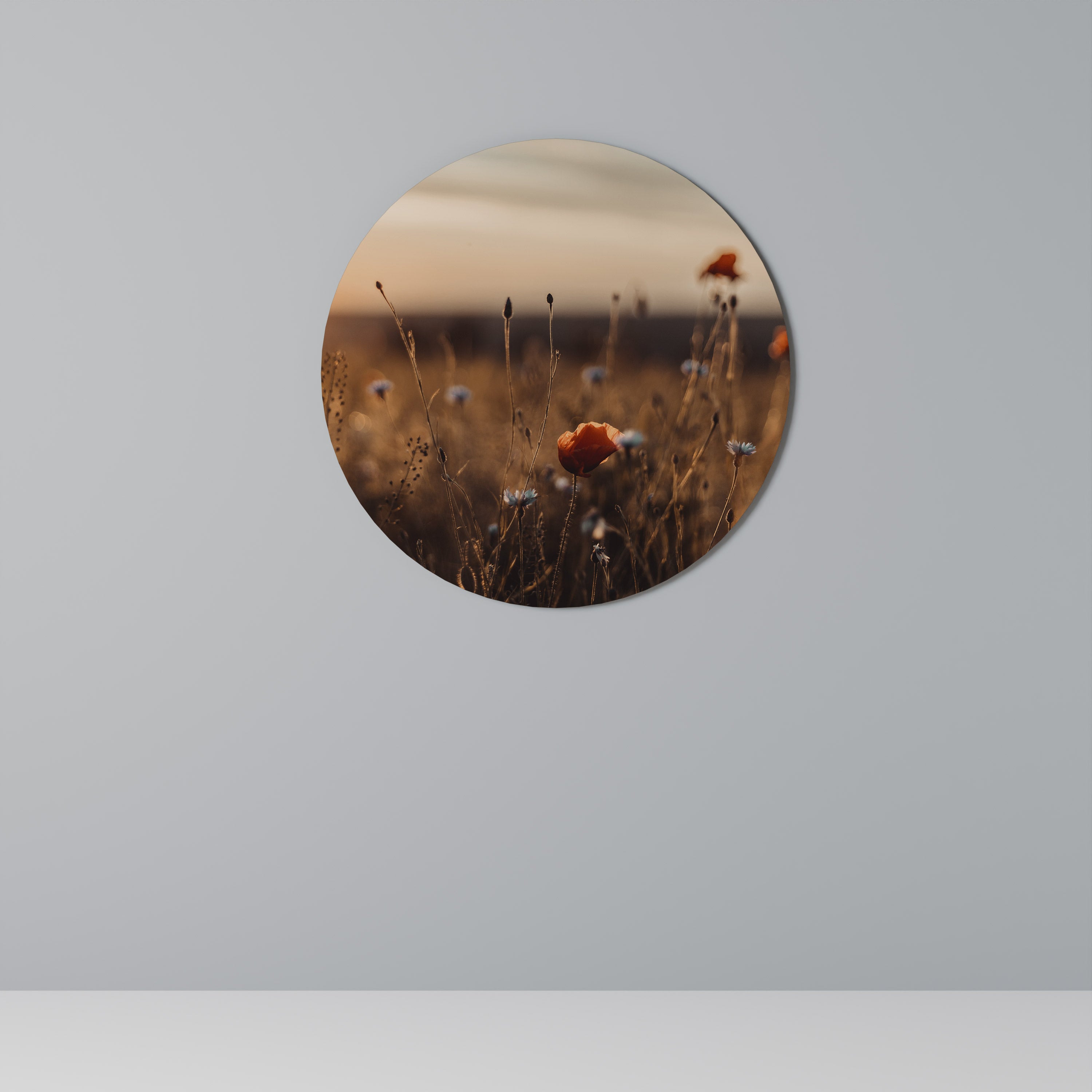 PRAIRIES LUMINEUSES AU CRÉPUSCULE Art mural rond