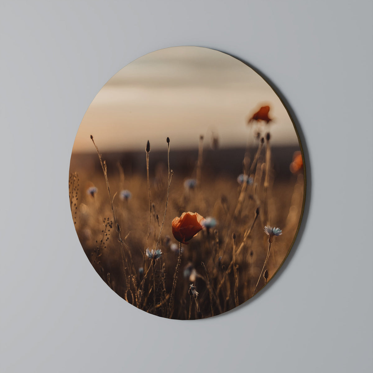 GLOWING MEADOWS AT DUSK Round Wall Art