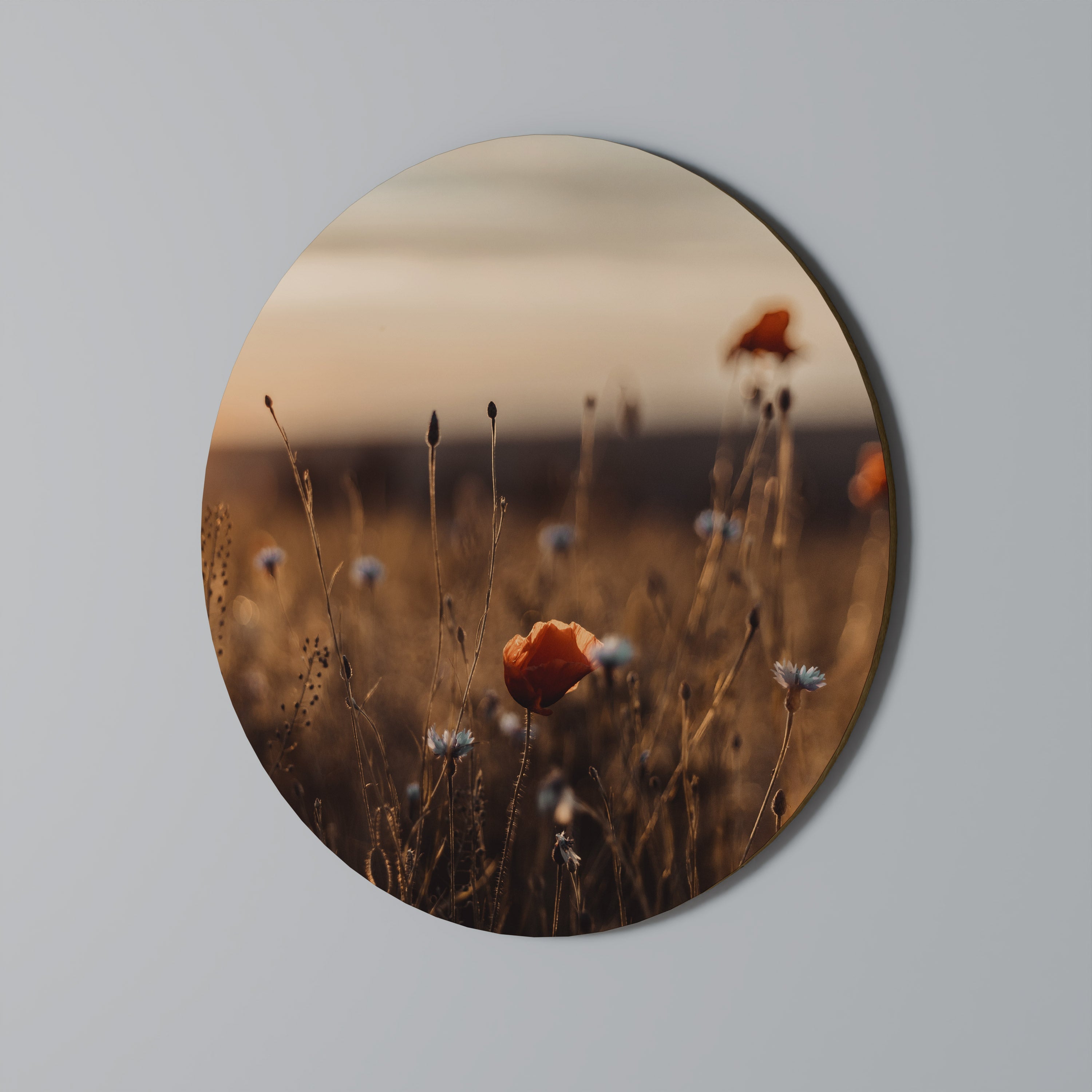 PRAIRIES LUMINEUSES AU CRÉPUSCULE Art mural rond