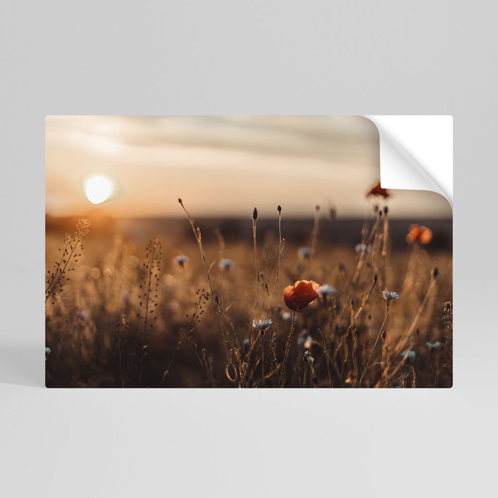 Affiche horizontale autocollante « PRAIRIES LUMINEUSES AU CRÉPUSCULE »