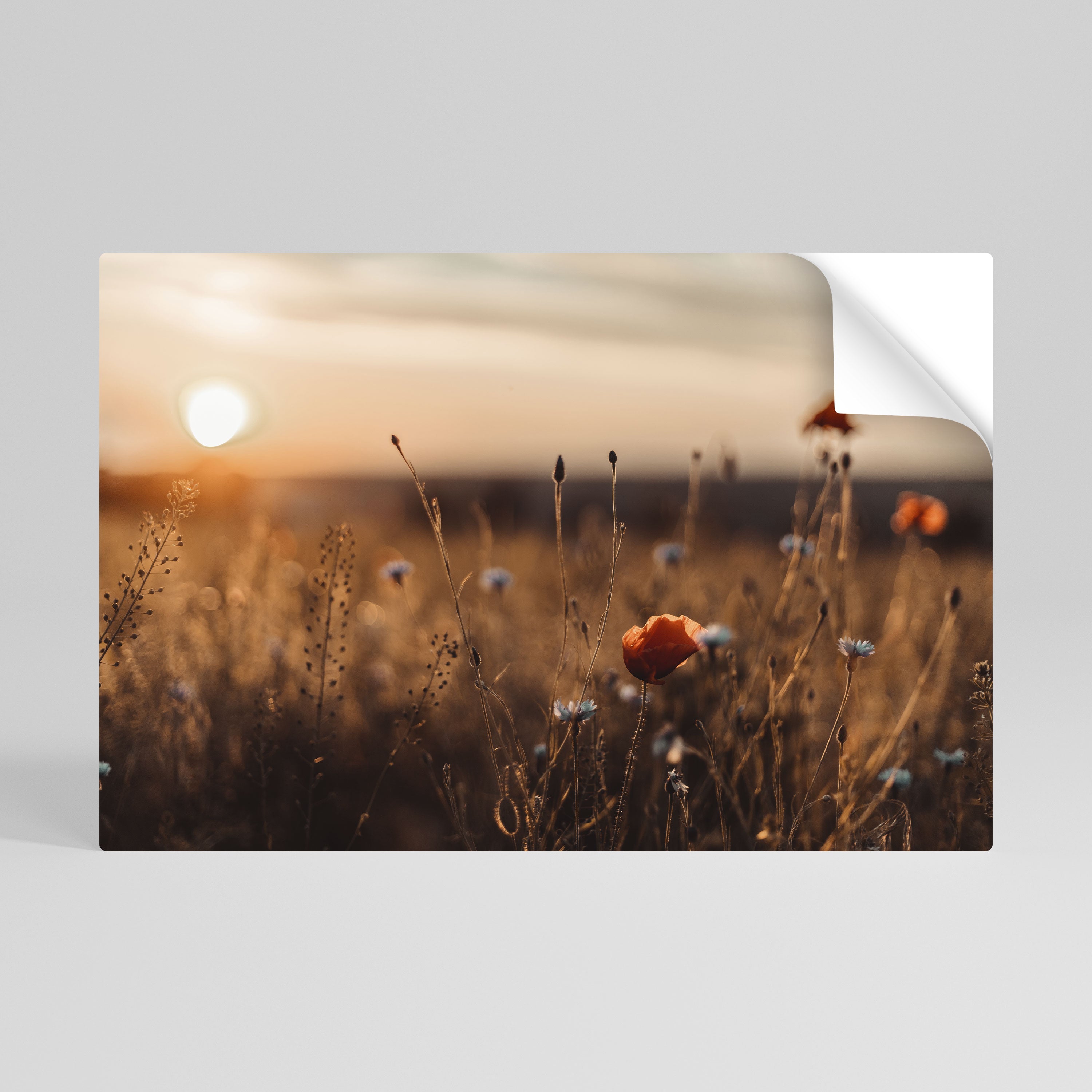 Affiche horizontale autocollante « PRAIRIES LUMINEUSES AU CRÉPUSCULE »