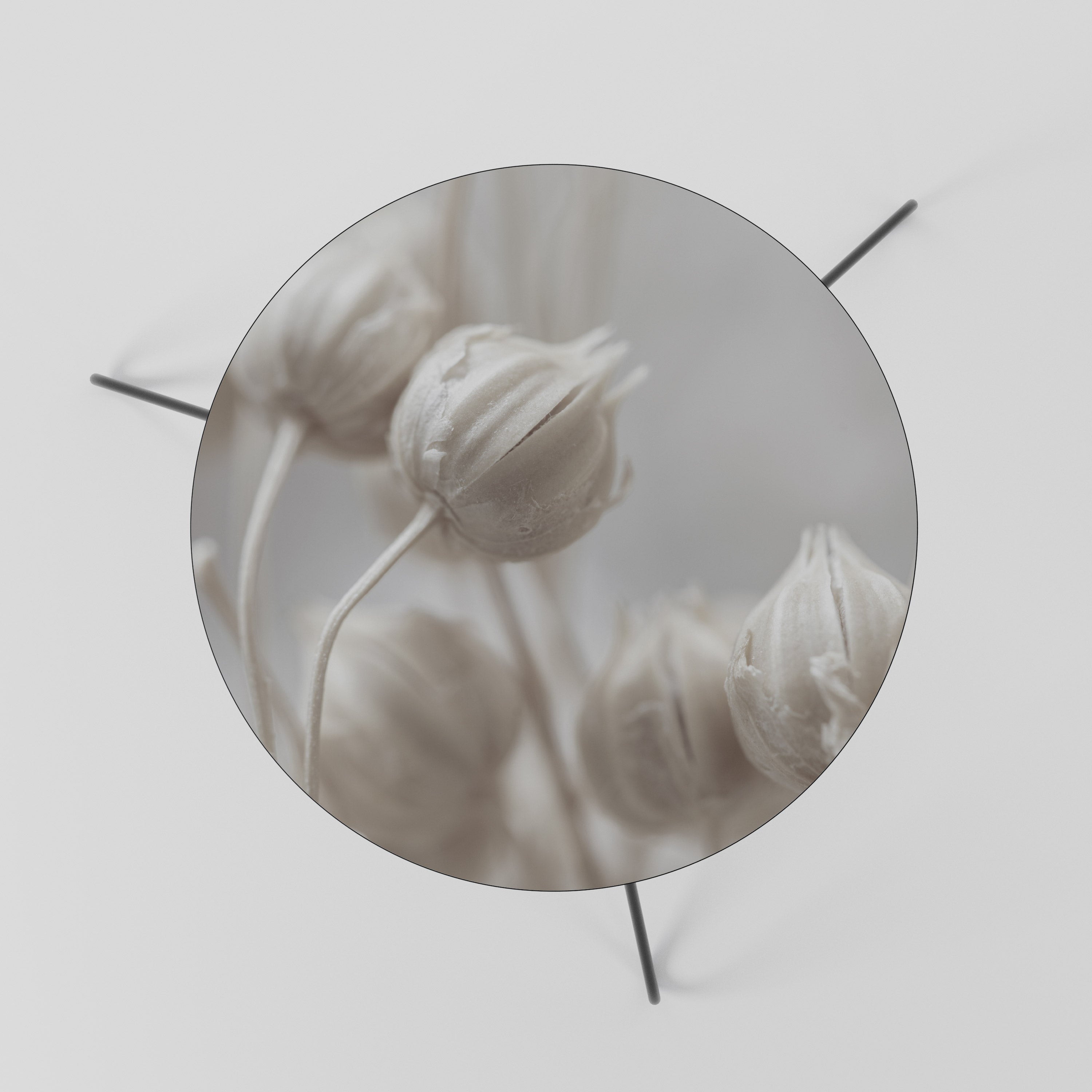 Table basse MYSTIQUE BOTANIQUE BLUSH 60