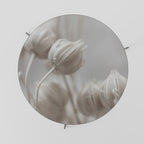 MYSTICAL BOTANICAL BLUSH Coffee Table