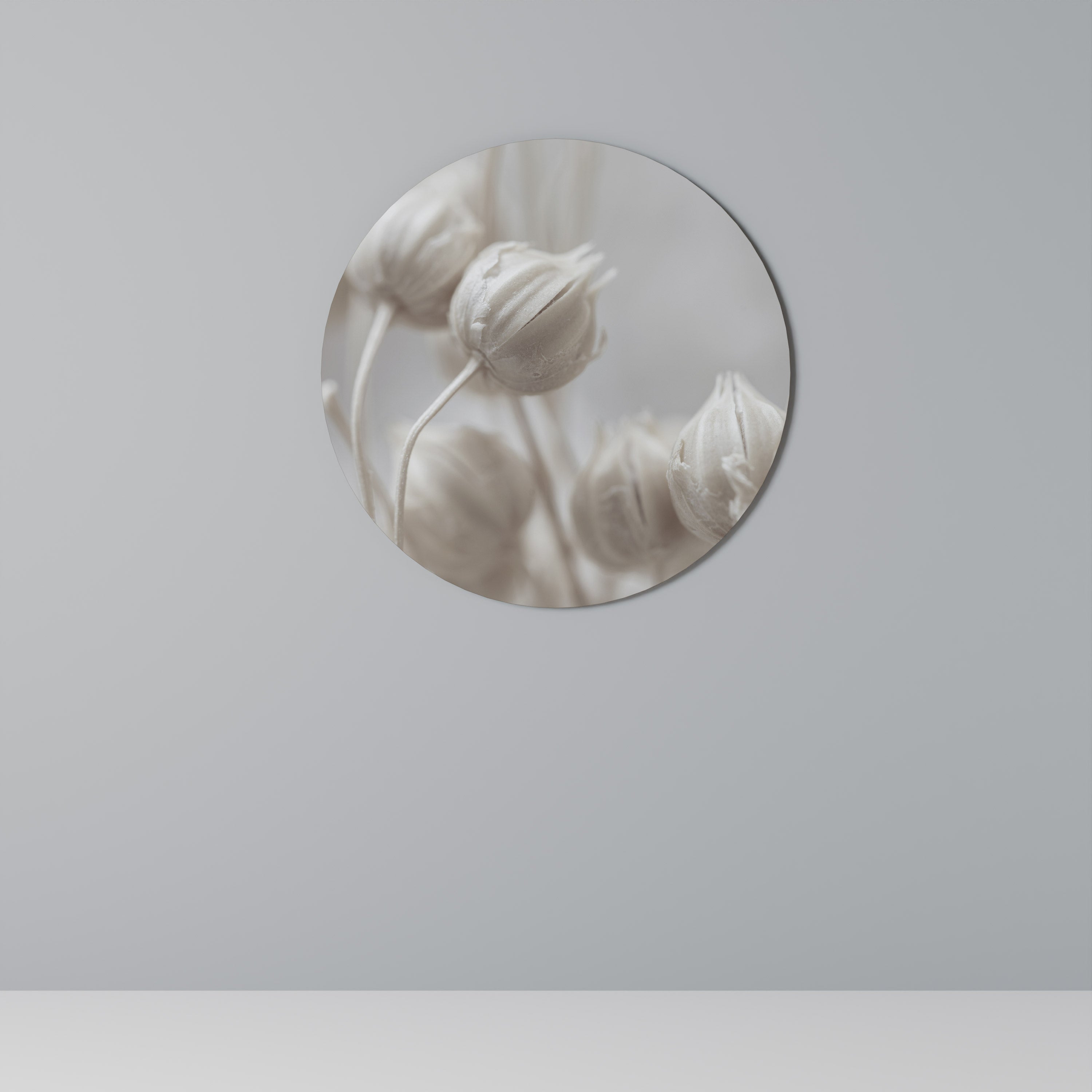 Décoration murale ronde BLUSH BOTANIQUE MYSTIQUE