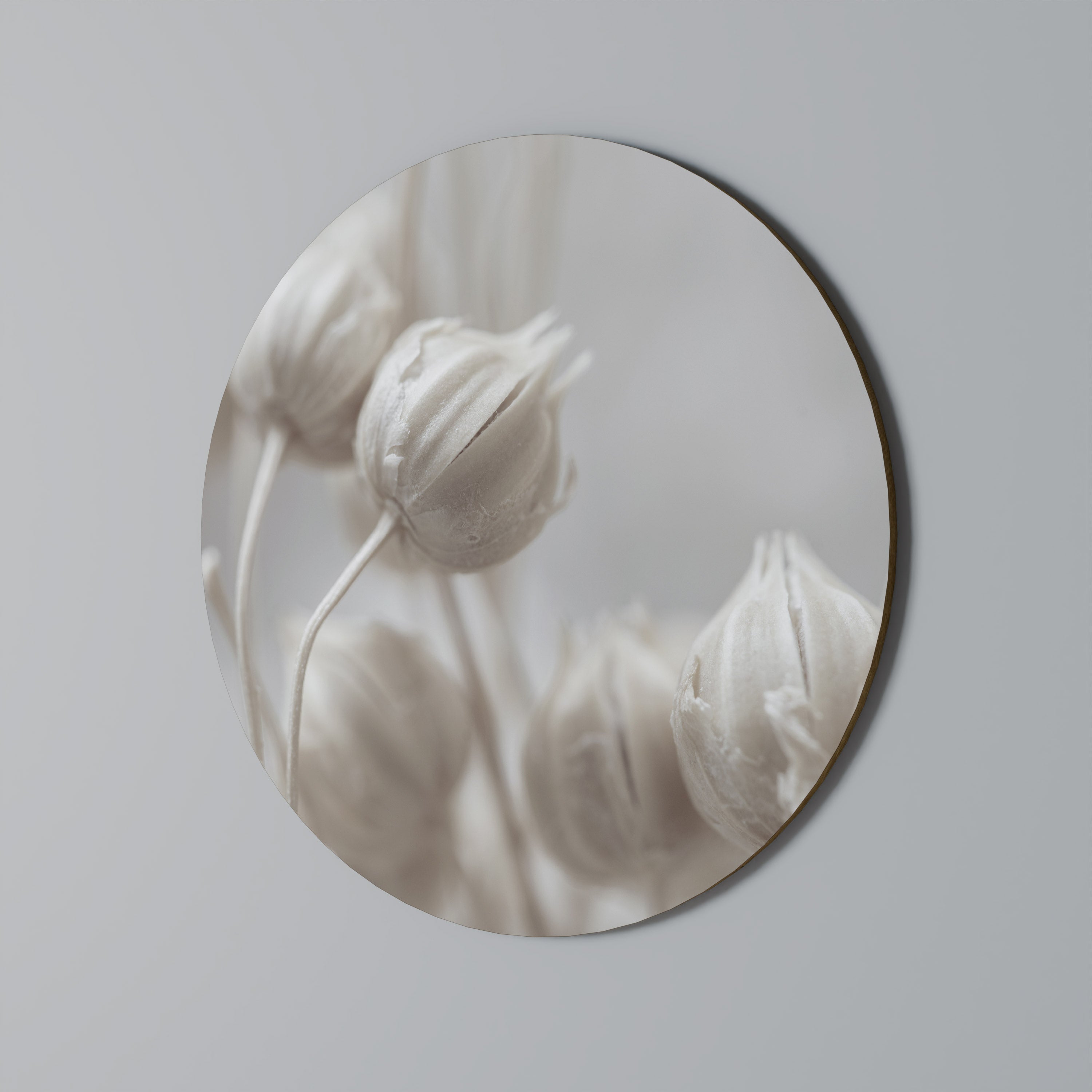 Décoration murale ronde BLUSH BOTANIQUE MYSTIQUE