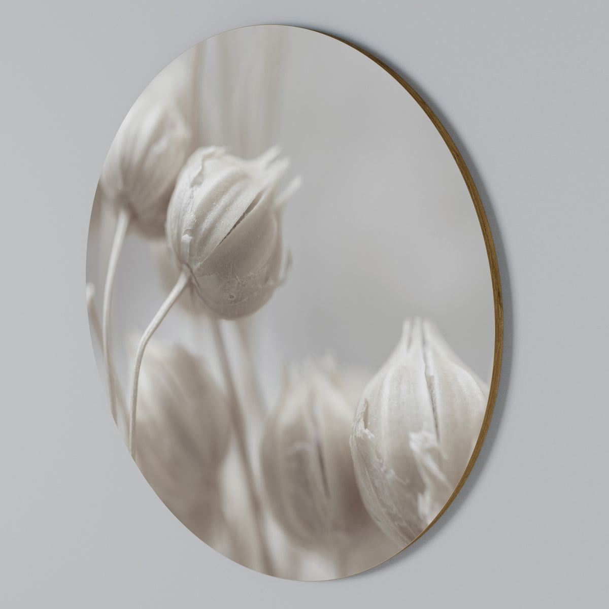 MYSTICAL BOTANICAL BLUSH Round Wall Art