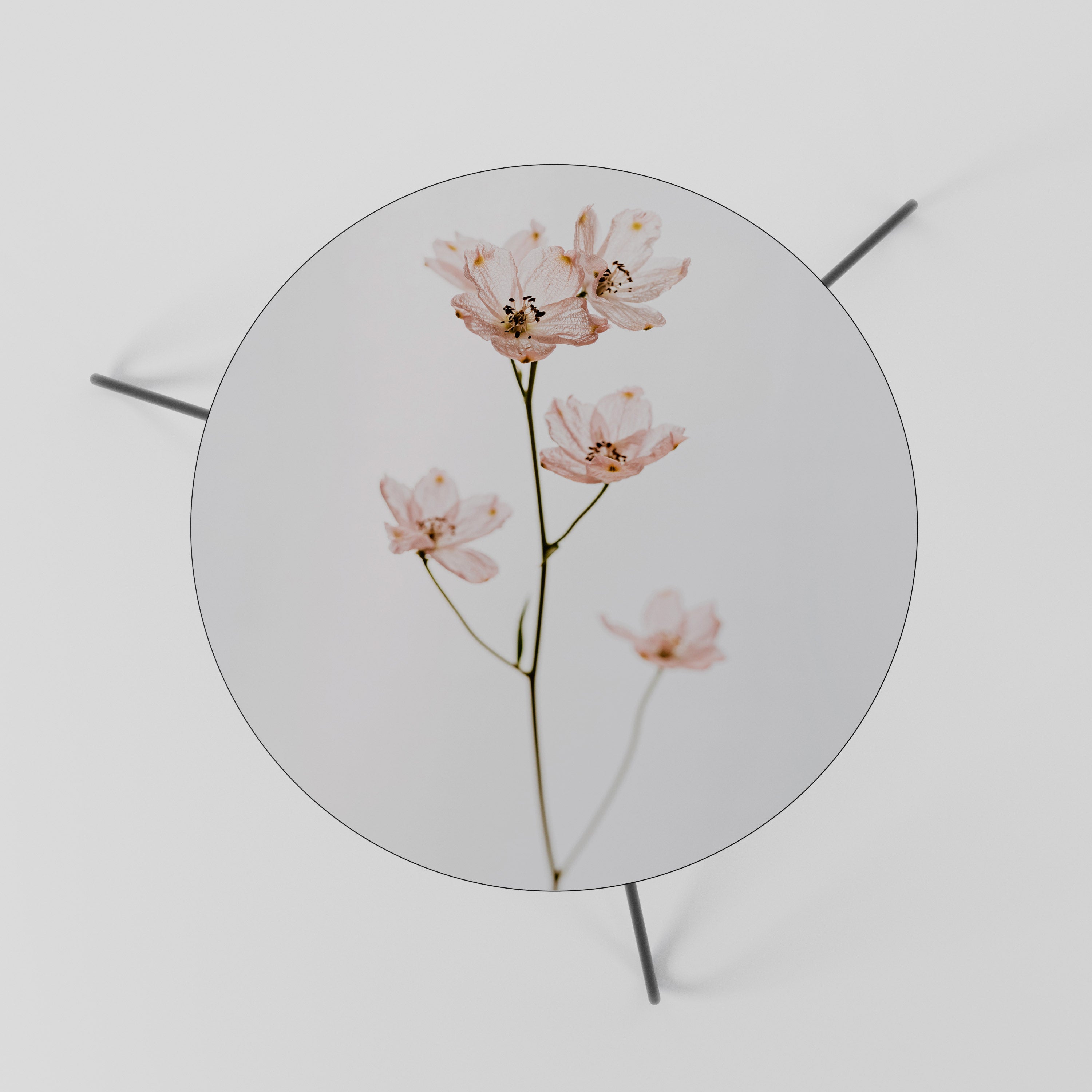 Table basse WHISPERS OF PINK 60