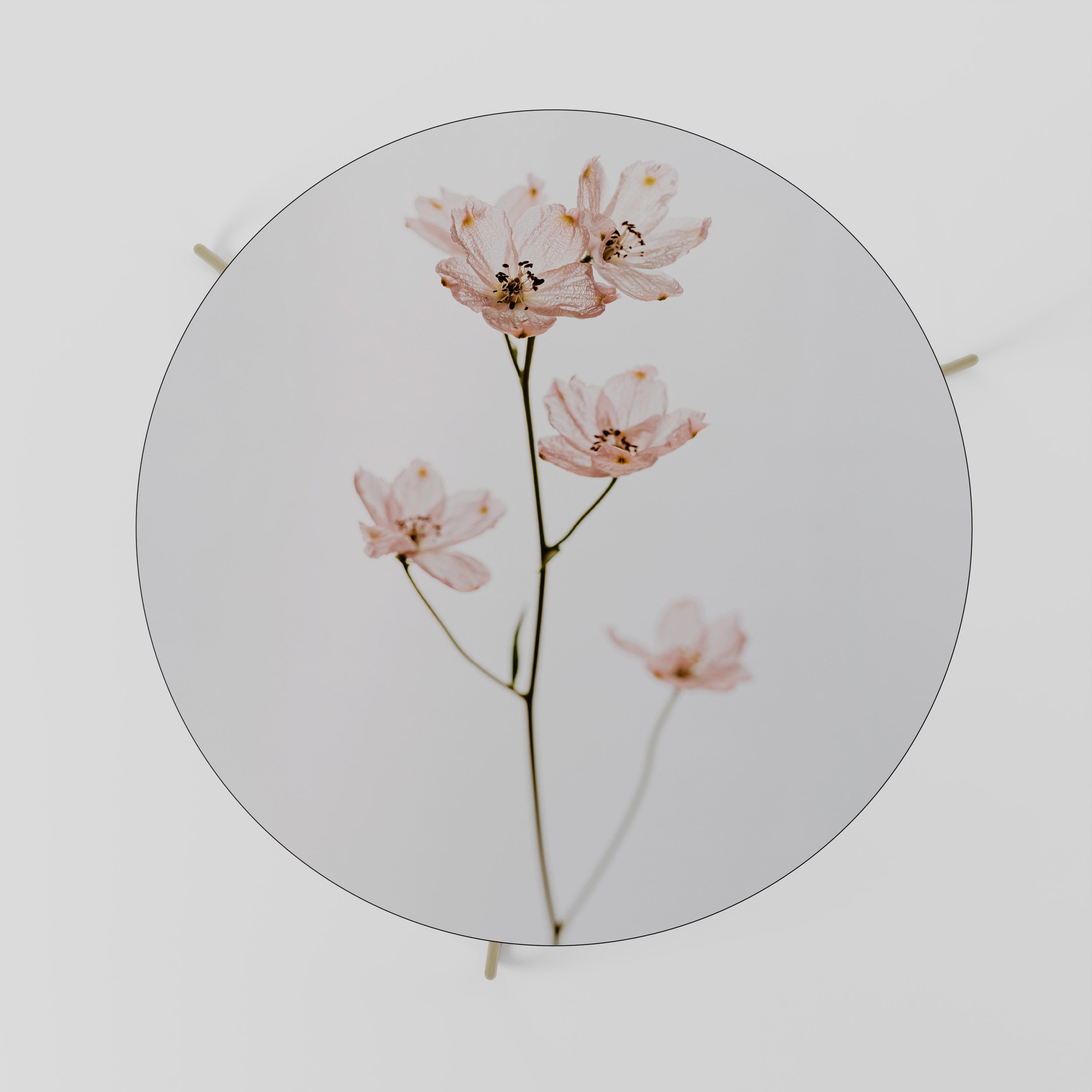 Table basse WHISPERS OF PINK 69