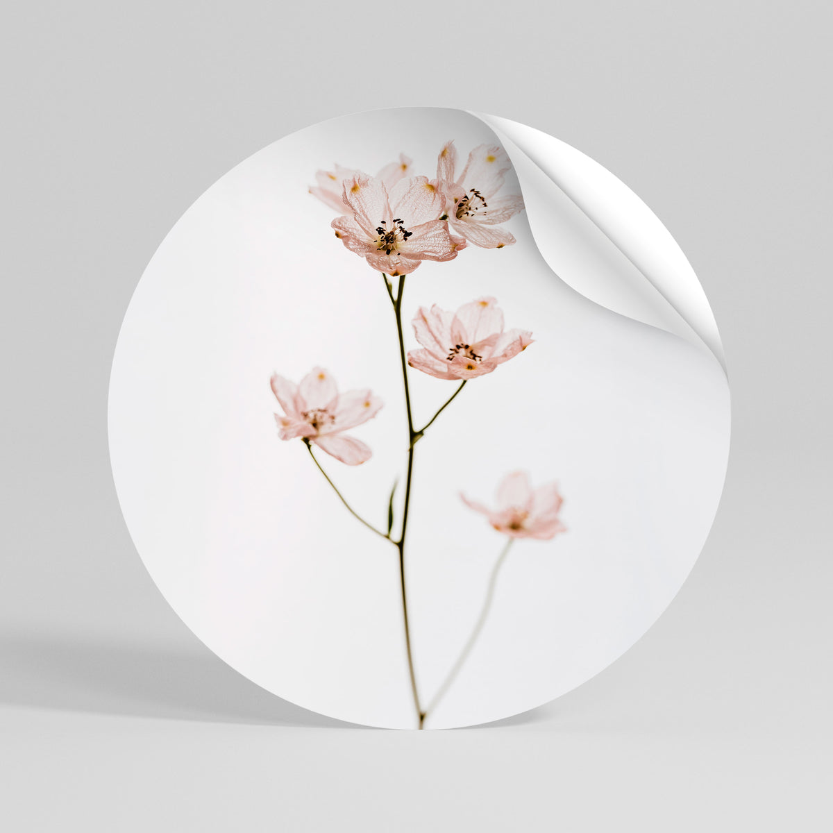 WHISPERS OF PINK Peel and Stick Round Sticker