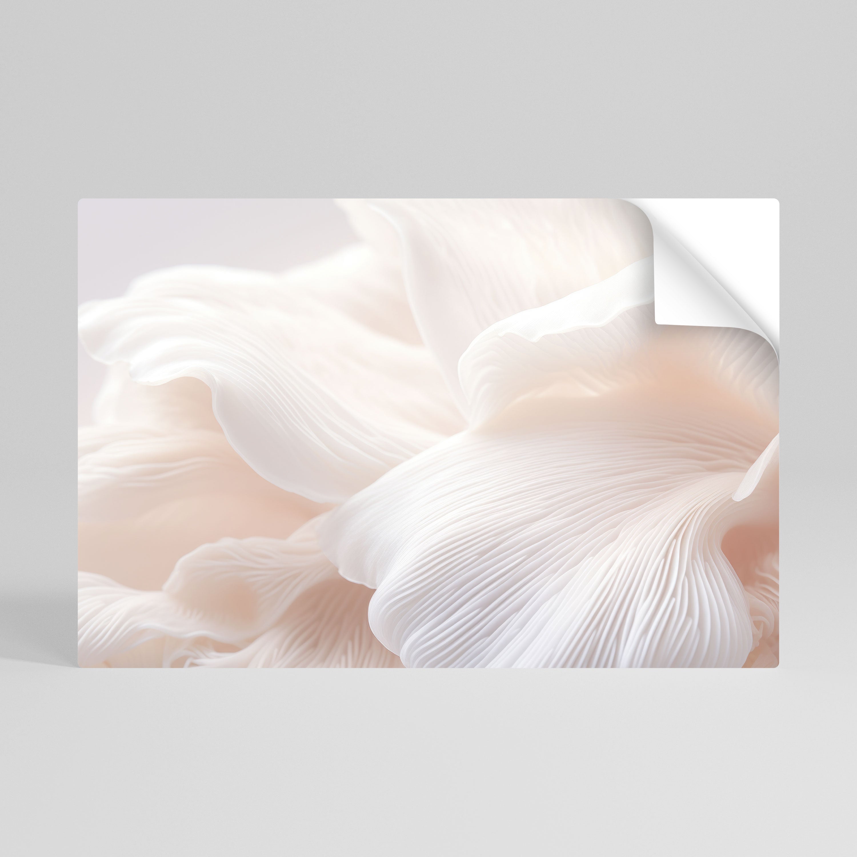 DELICATE PINK HARMONY Peel and Stick Horizontal Poster