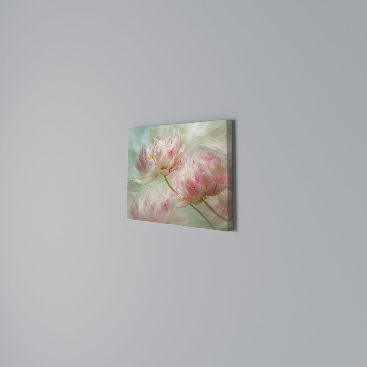 GENTLE HARMONY UNFOLDED Horizontal Canvas Print