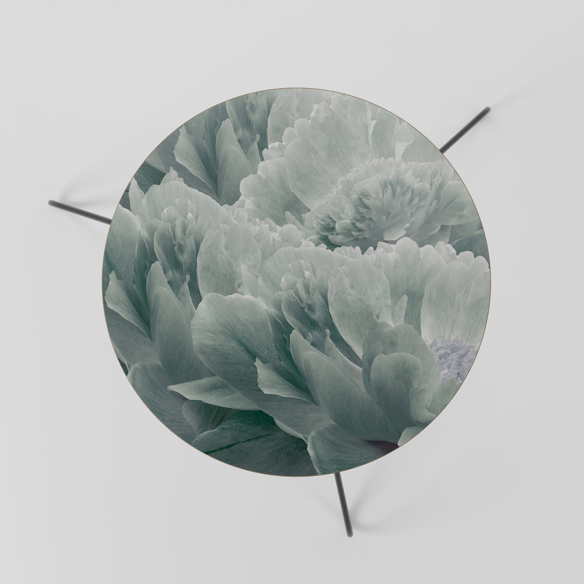 TREE PEONIES Coffee Table 60