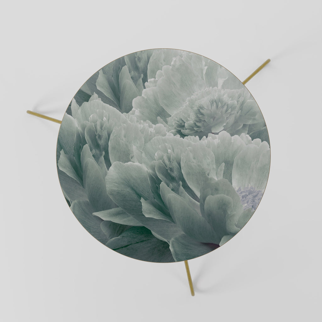 TREE PEONIES Coffee Table 60
