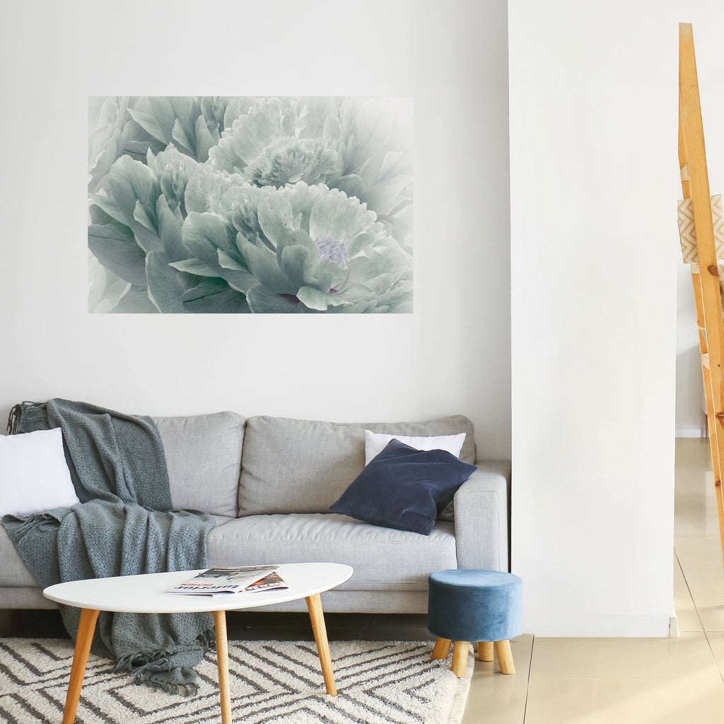 Affiche horizontale autocollante « PIVOINES ARBORÉES »