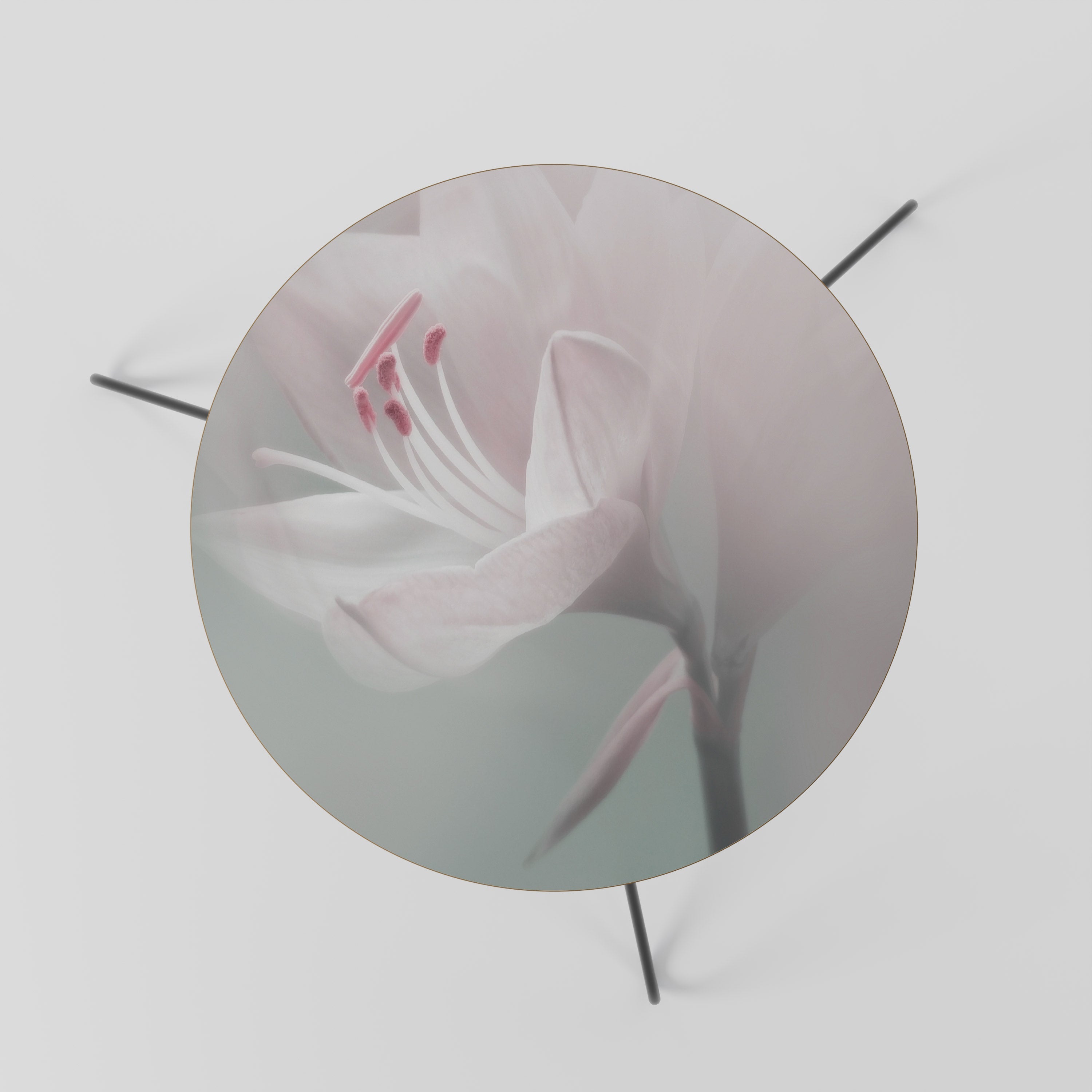 Table basse GENTLE LILY 60