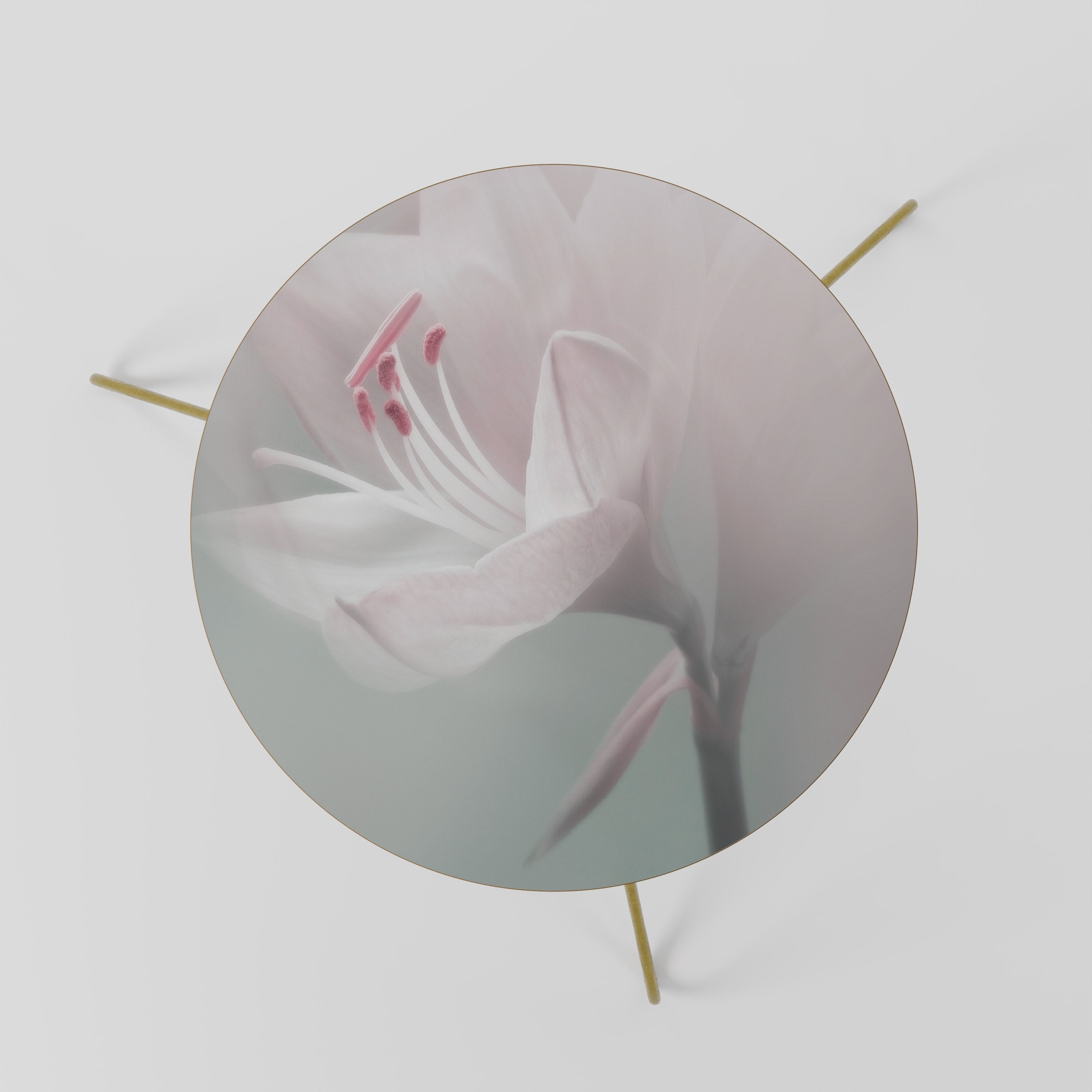 Table basse GENTLE LILY 60