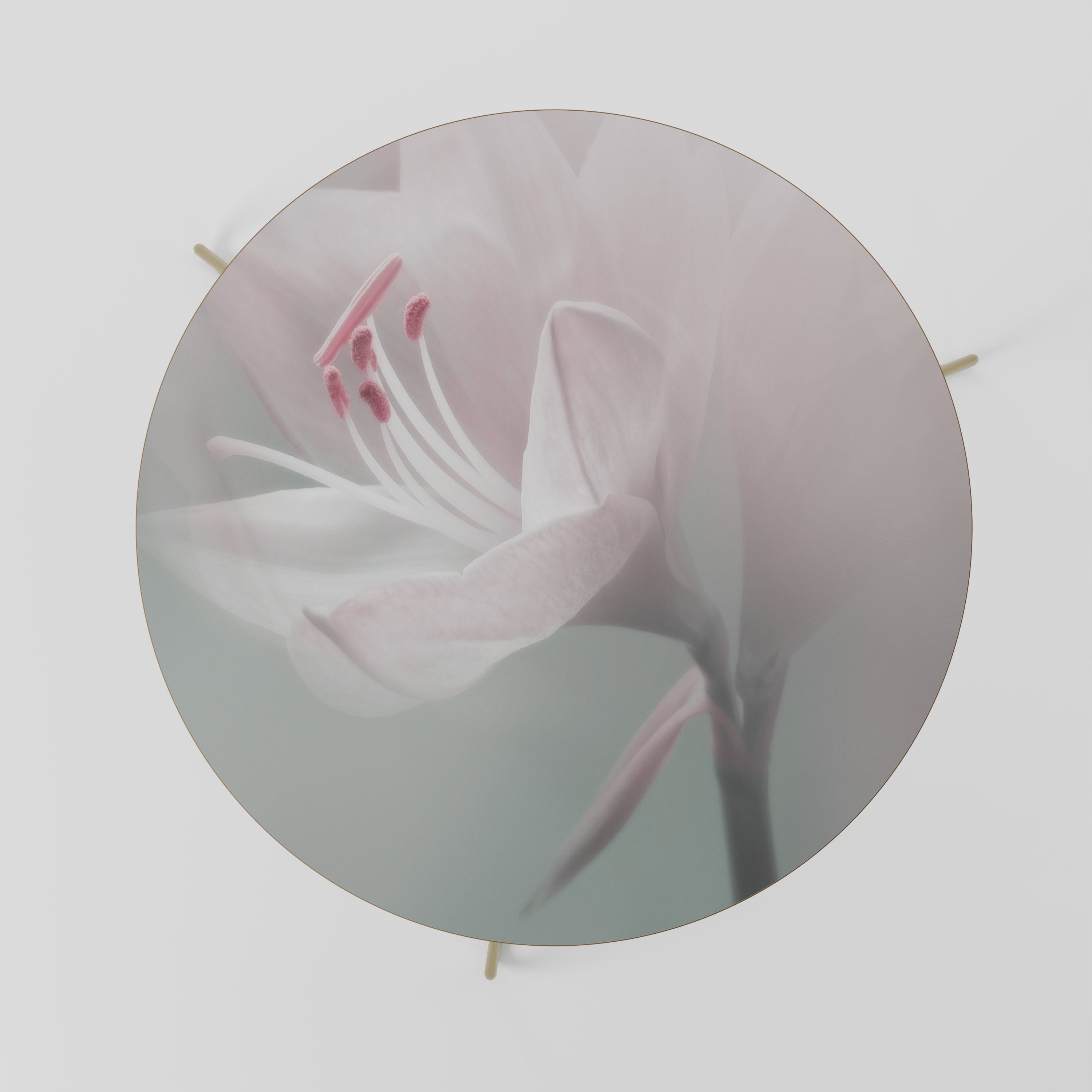 Table basse GENTLE LILY 69