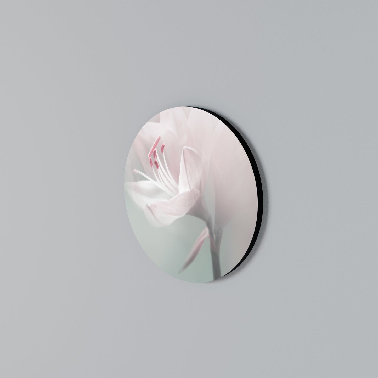 GENTLE LILY Round Wall Art