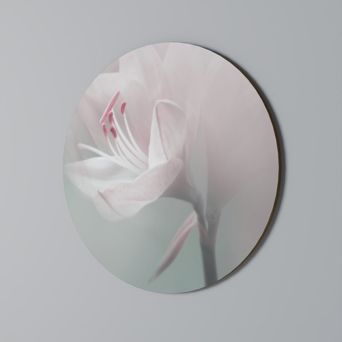 GENTLE LILY Round Wall Art