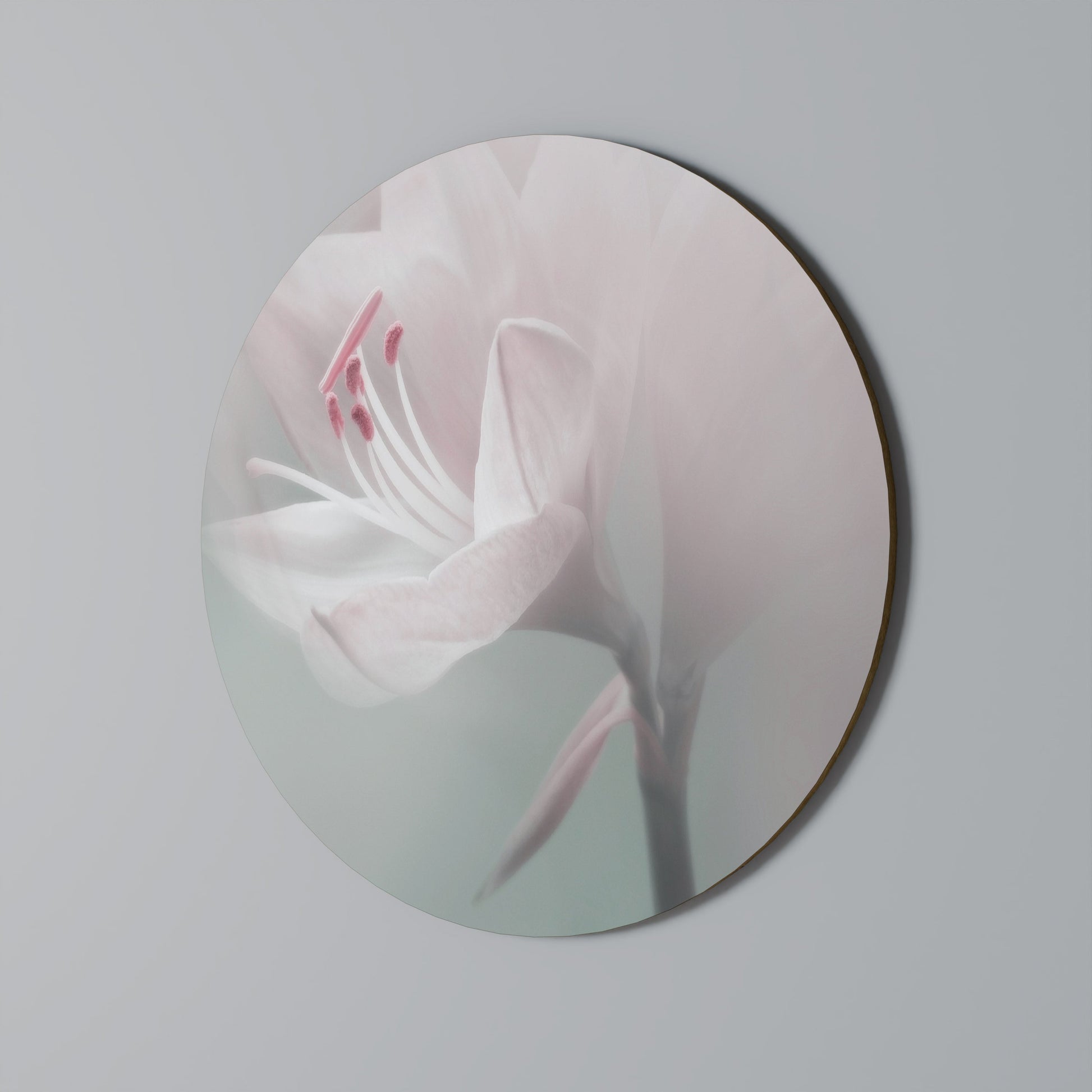 GENTLE LILY Round Wall Art