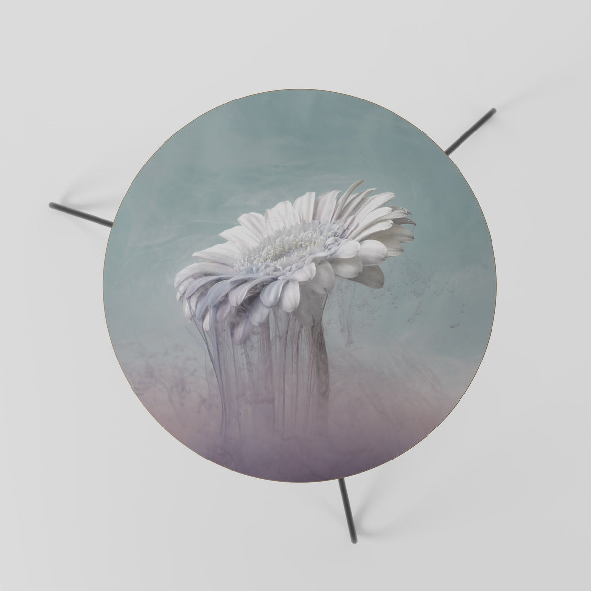 MELTING GERBERA Coffee Table 60