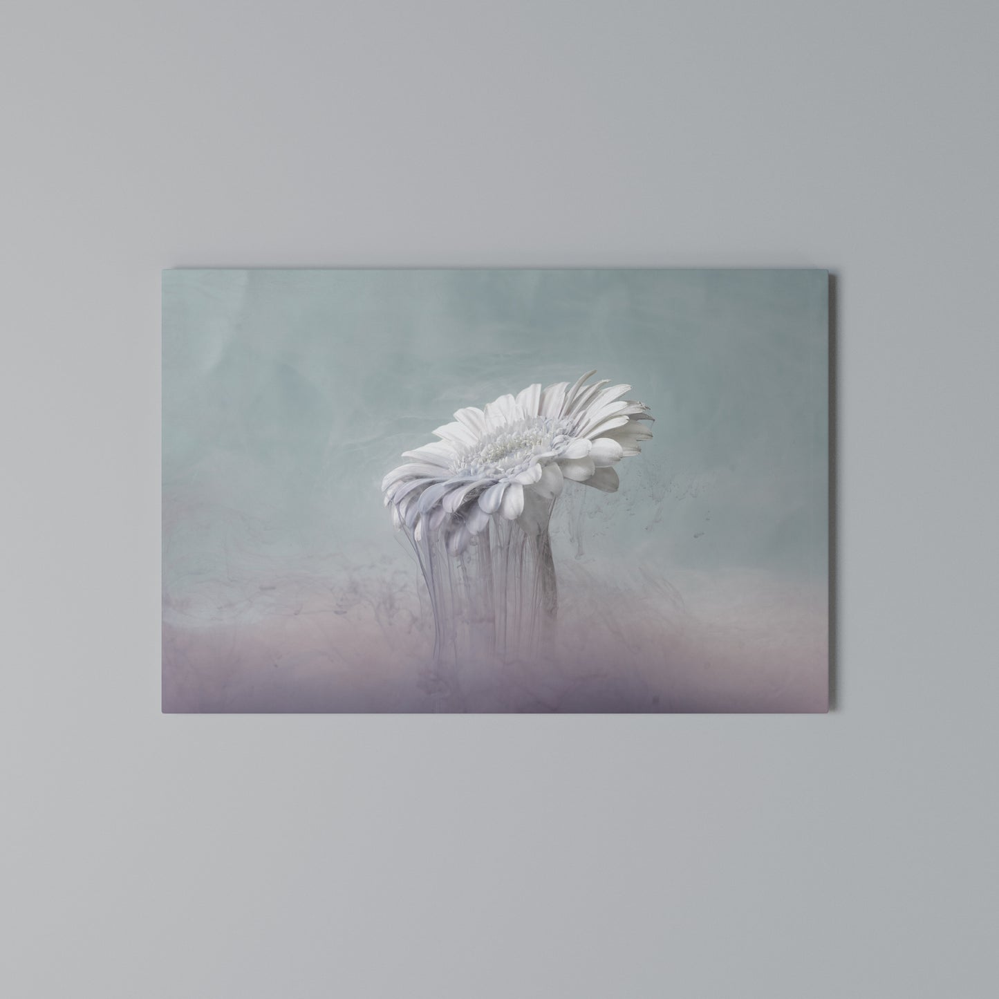 MELTING GERBERA Horizontal Canvas Print