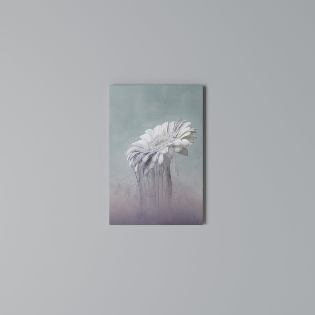 MELTING GERBERA Vertical Canvas Print