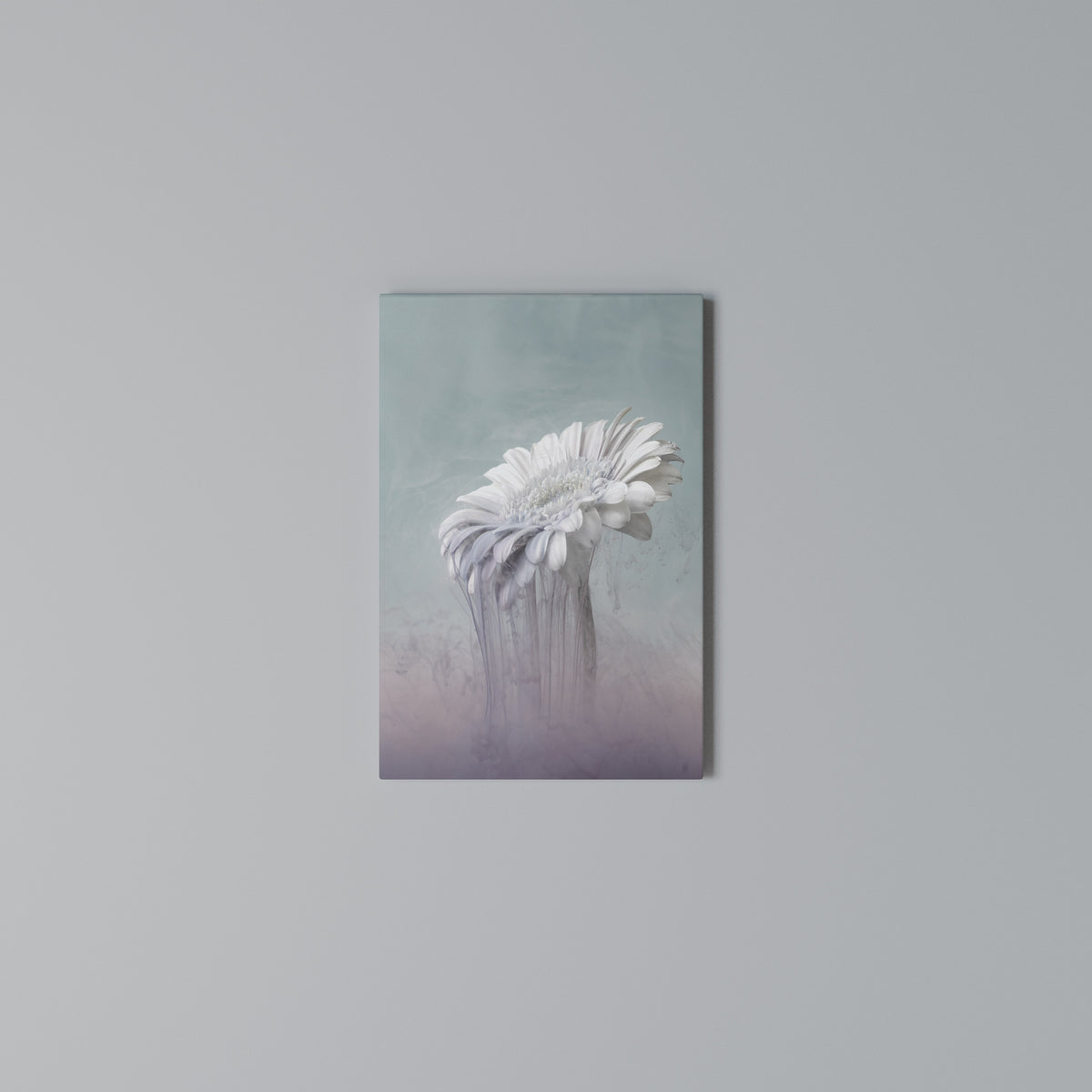 MELTING GERBERA Vertical Canvas Print