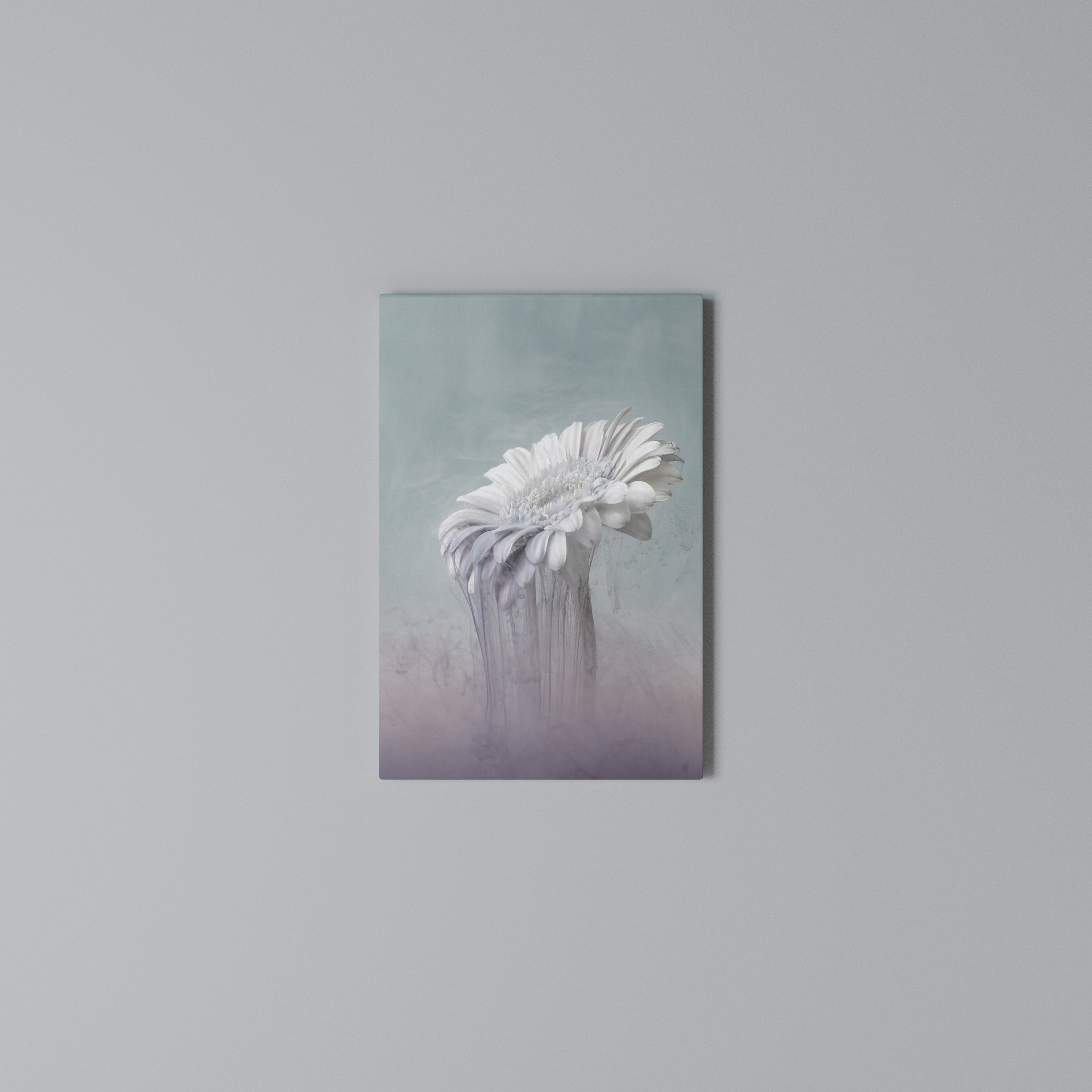 MELTING GERBERA Vertical Canvas Print