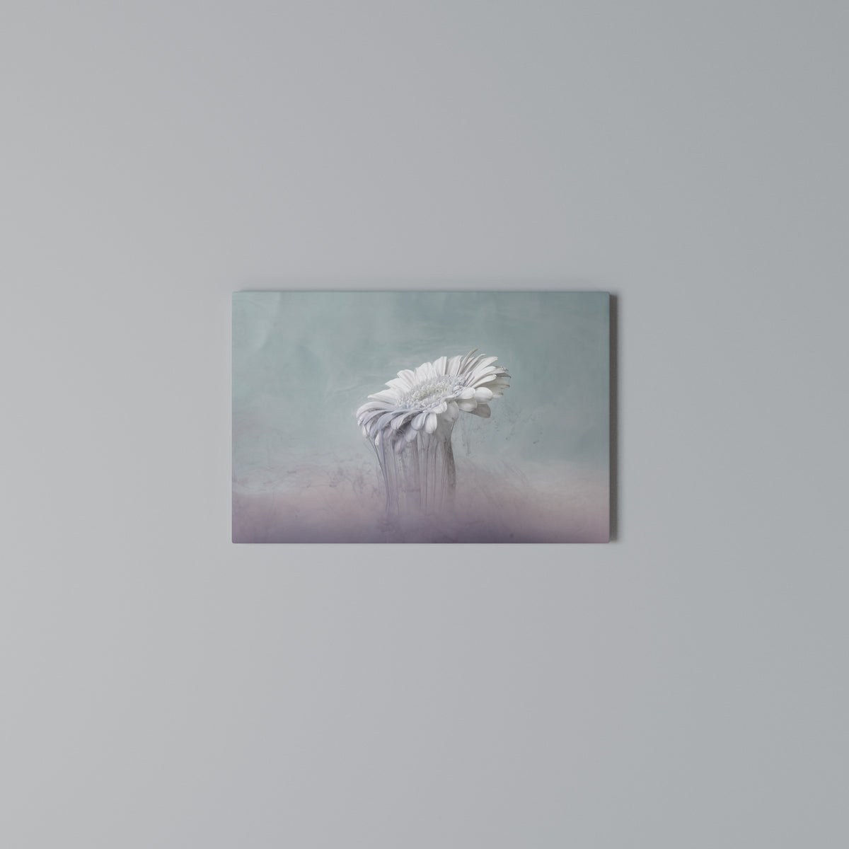 MELTING GERBERA Horizontal Canvas Print