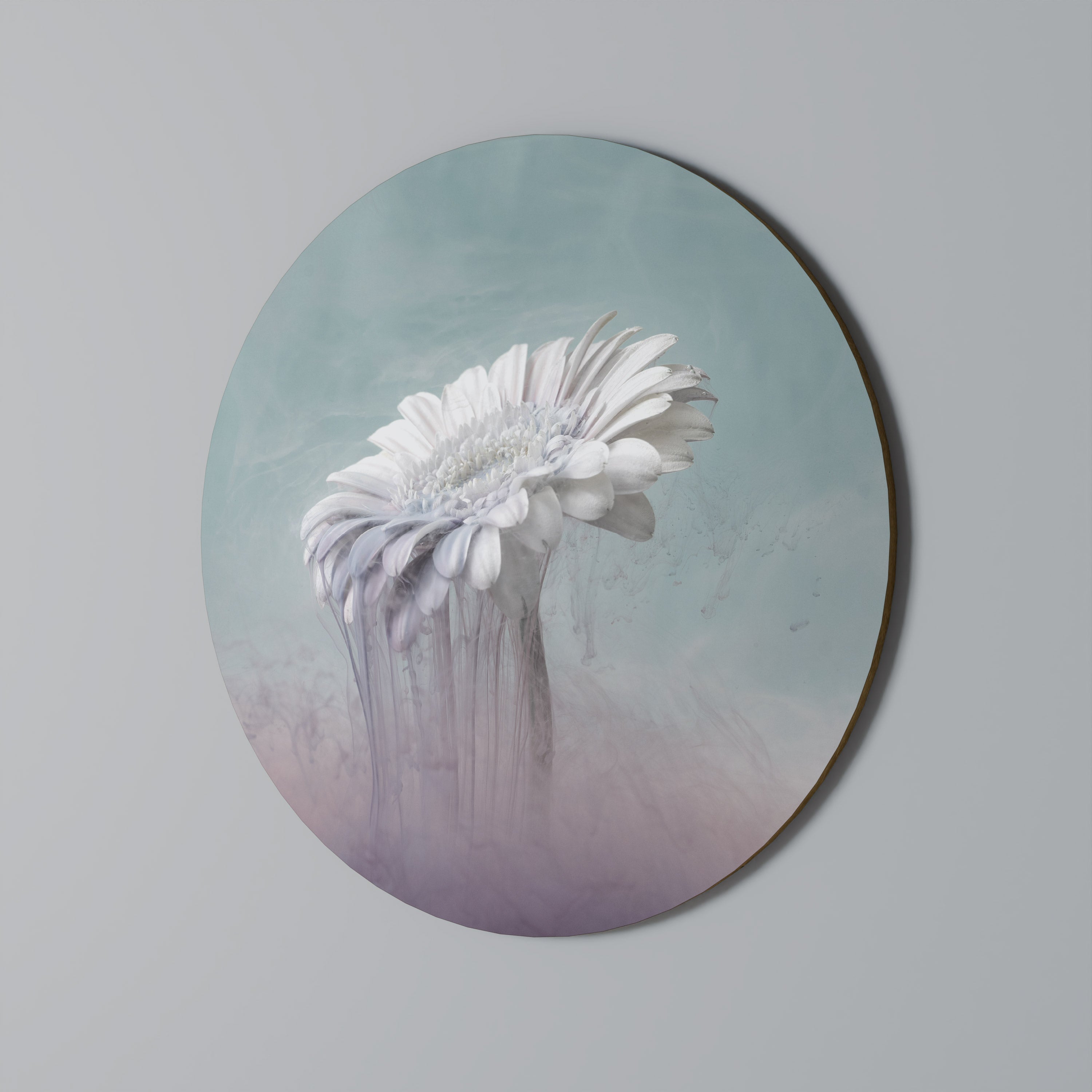 Décoration murale ronde GERBERA FONDU