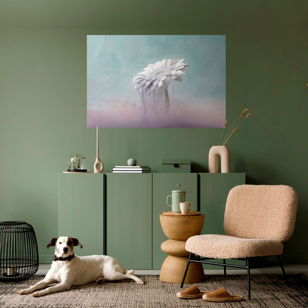 Affiche horizontale autocollante « GERBERA FONDU »