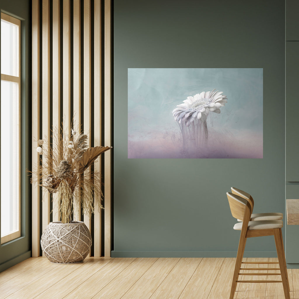 Affiche horizontale autocollante « GERBERA FONDU »