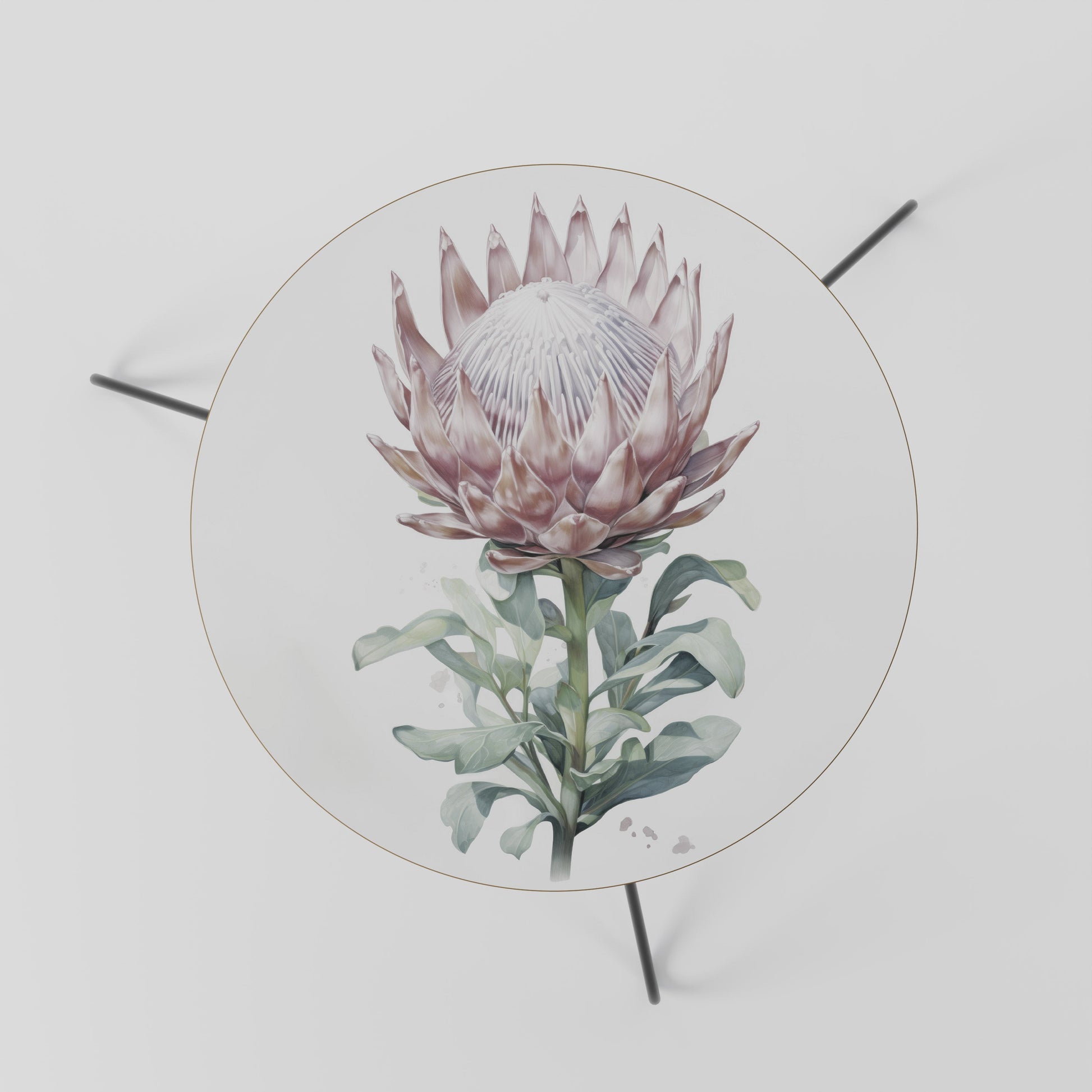 ROYAL PROTEA Coffee Table 60