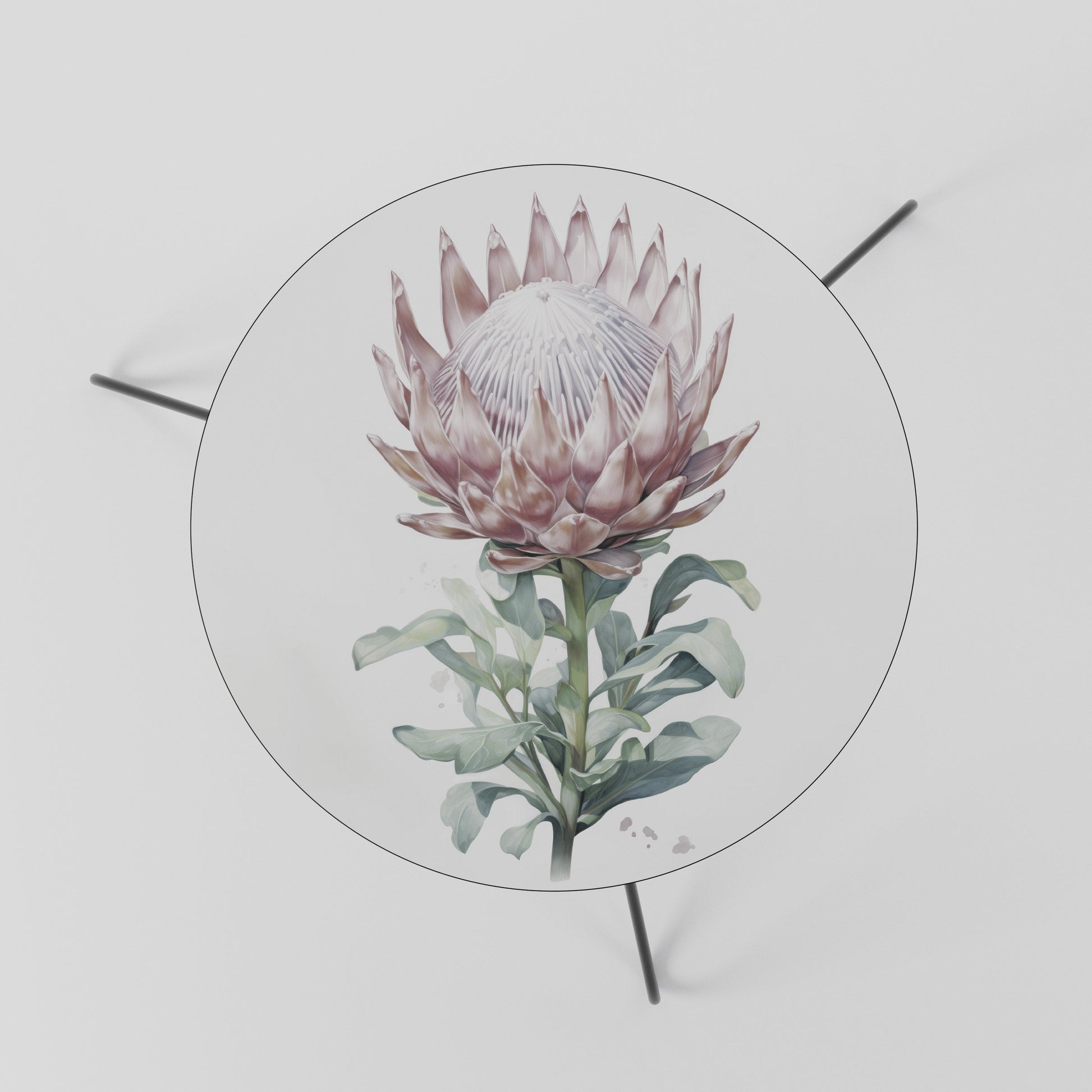 ROYAL PROTEA Coffee Table 60
