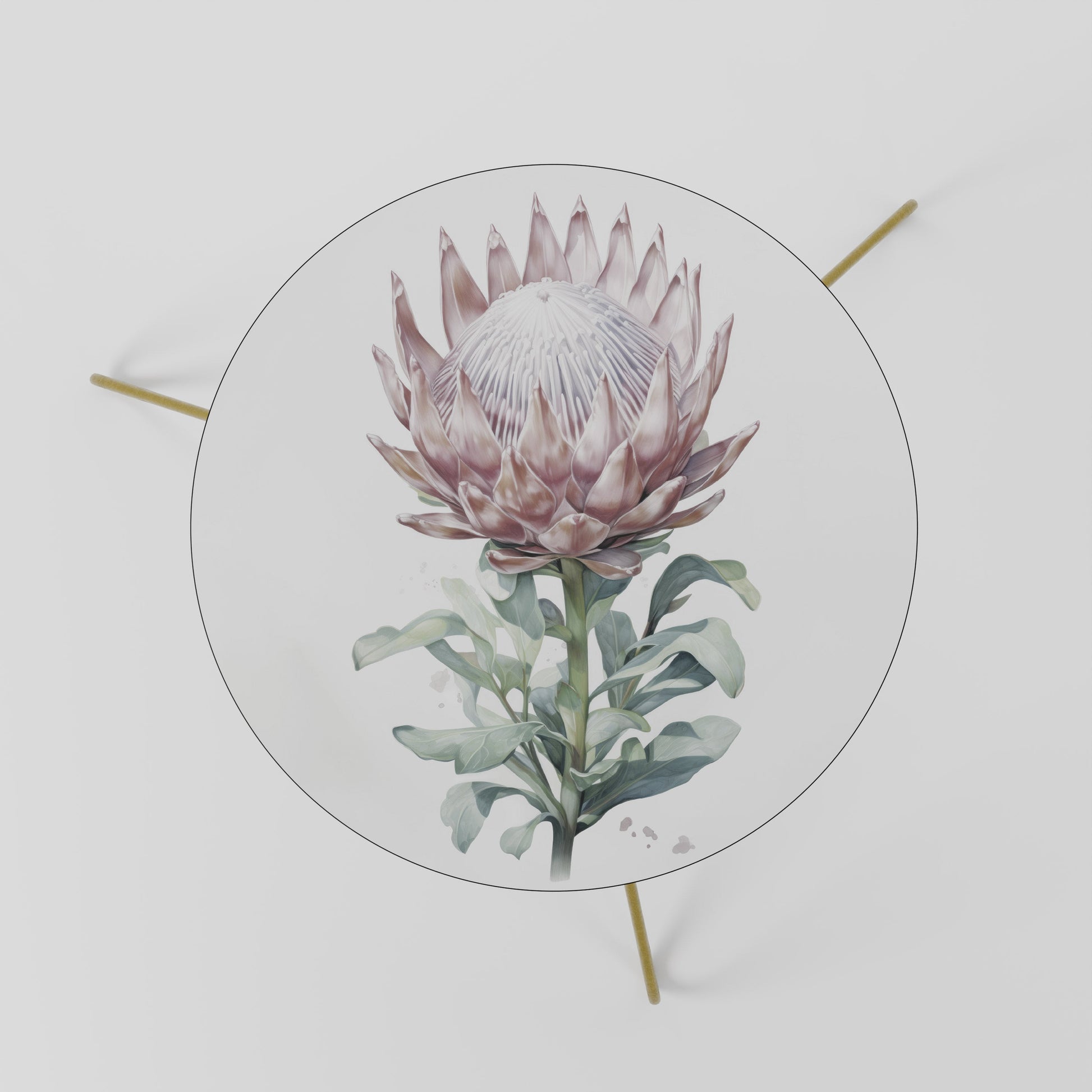 ROYAL PROTEA Coffee Table 60