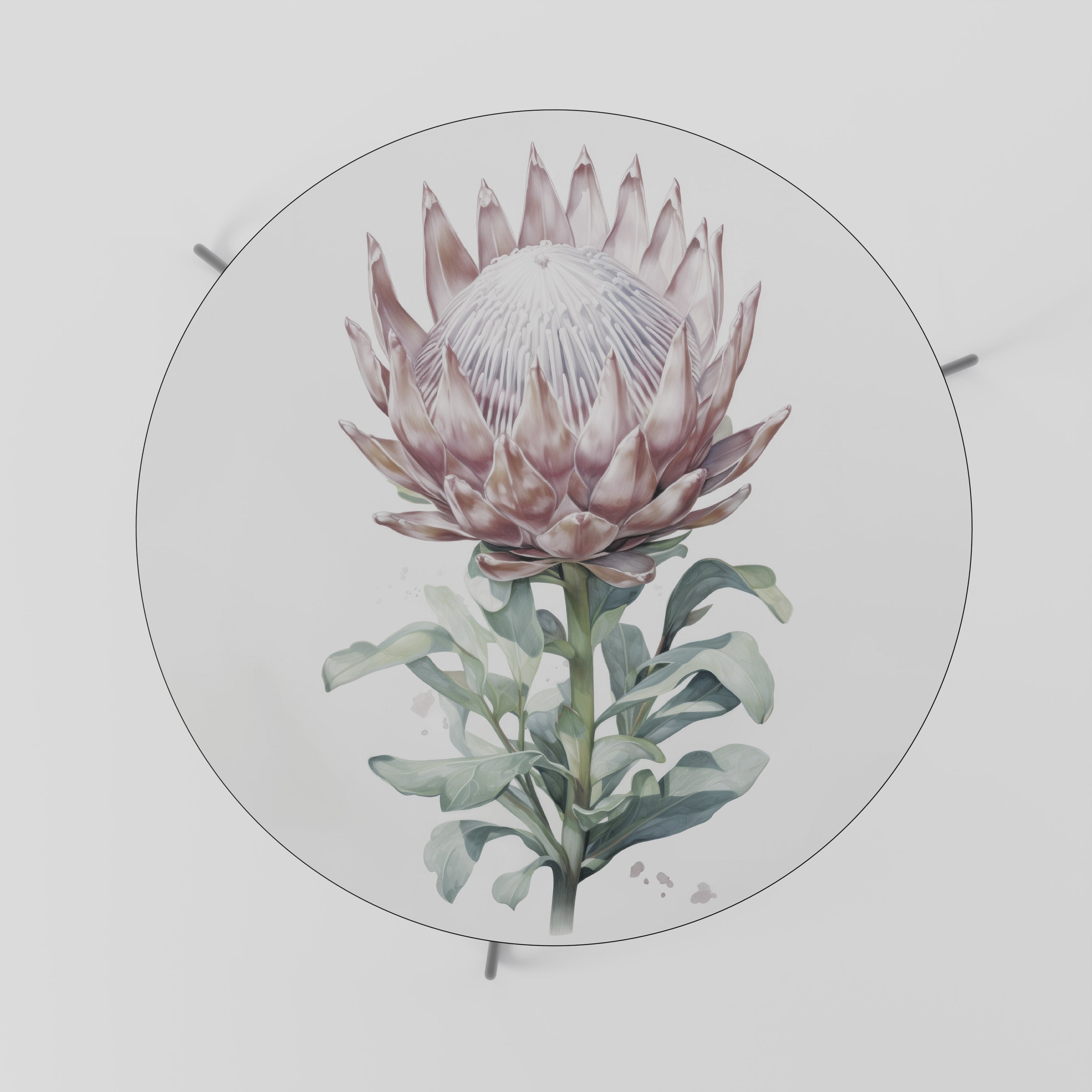 Table basse ROYAL PROTEA 69