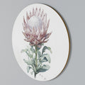 ROYAL PROTEA Round Wall Art