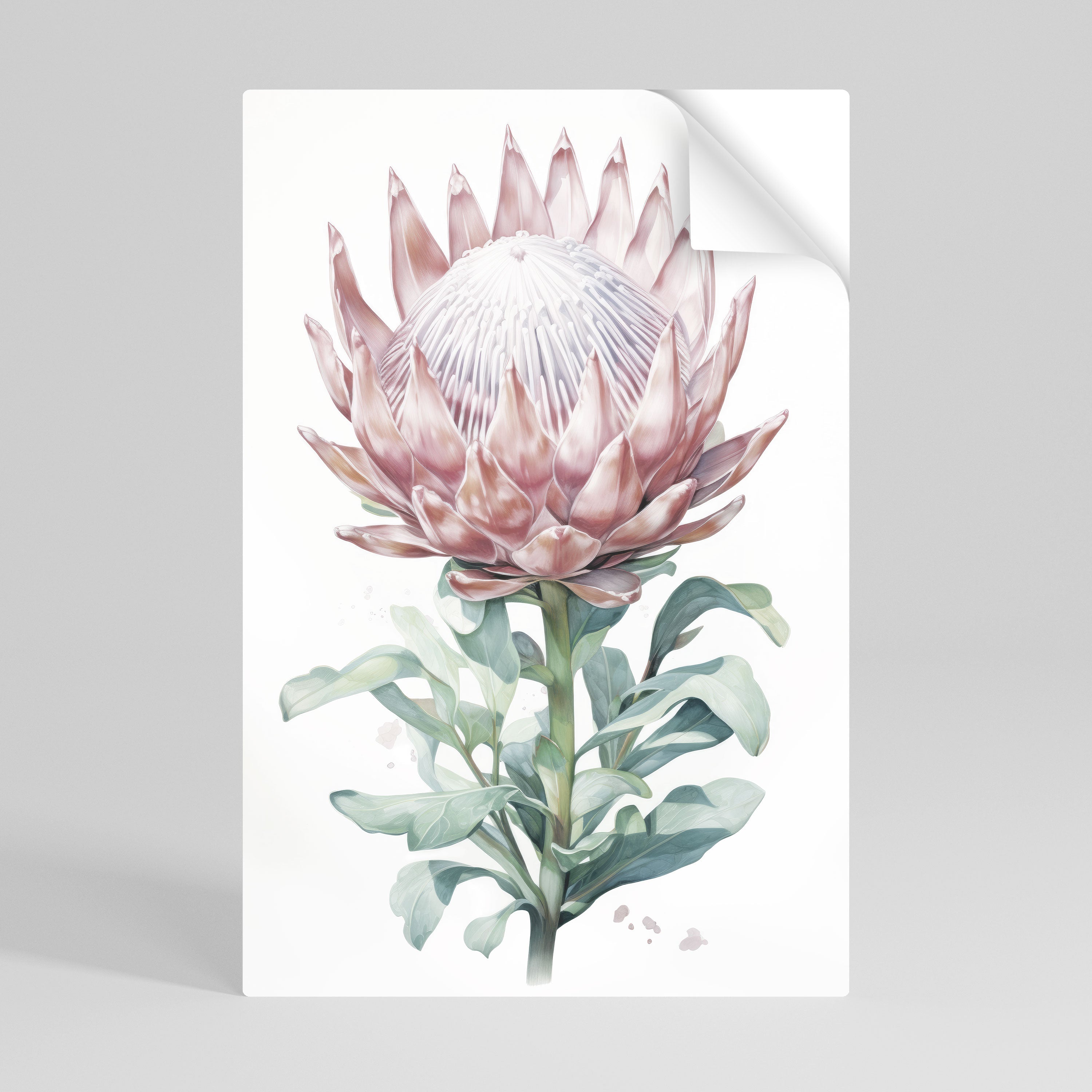 Affiche verticale autocollante ROYAL PROTEA