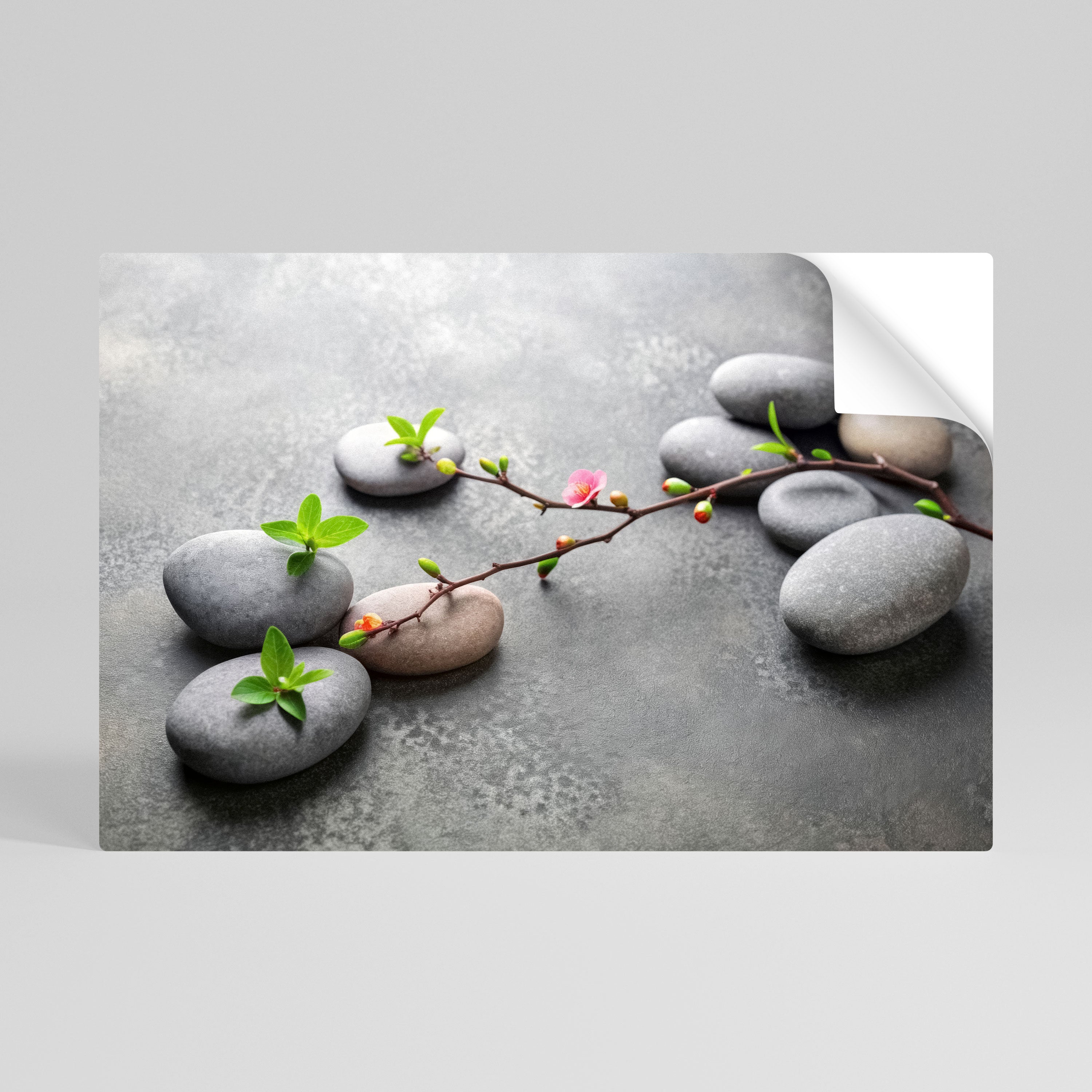 STONES AND BLOSSOMS Peel and Stick Horizontal Poster
