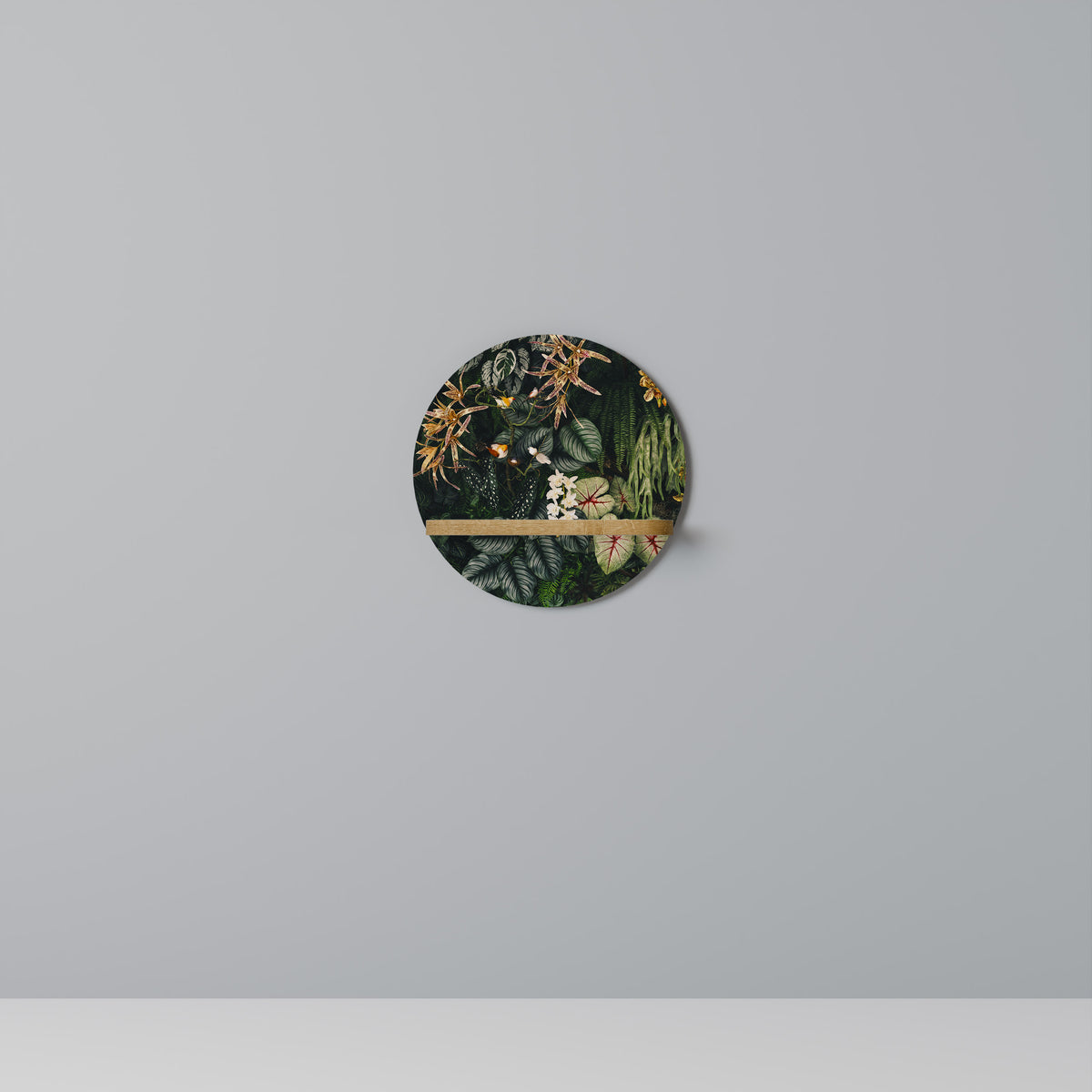 SILENT WILDERNESS Art Shelf