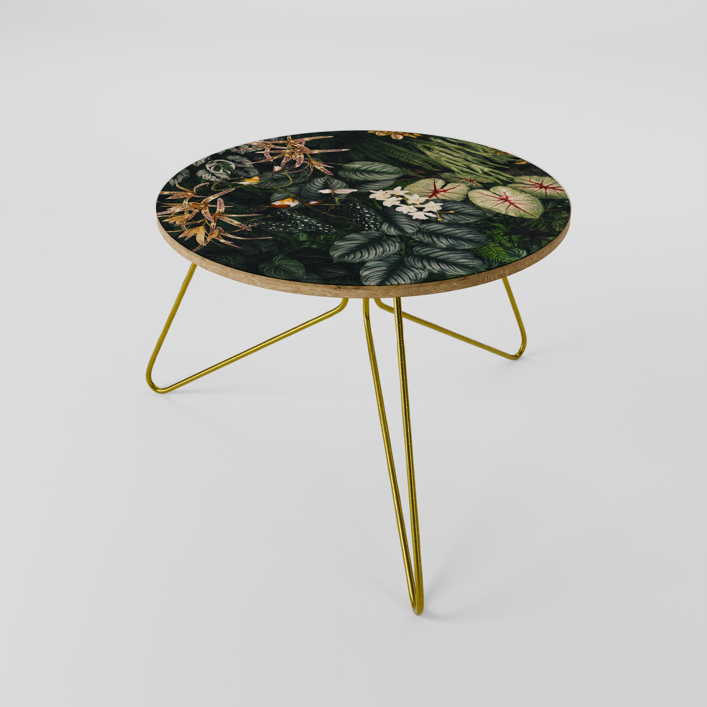 Table basse SILENT WILDERNESS 60